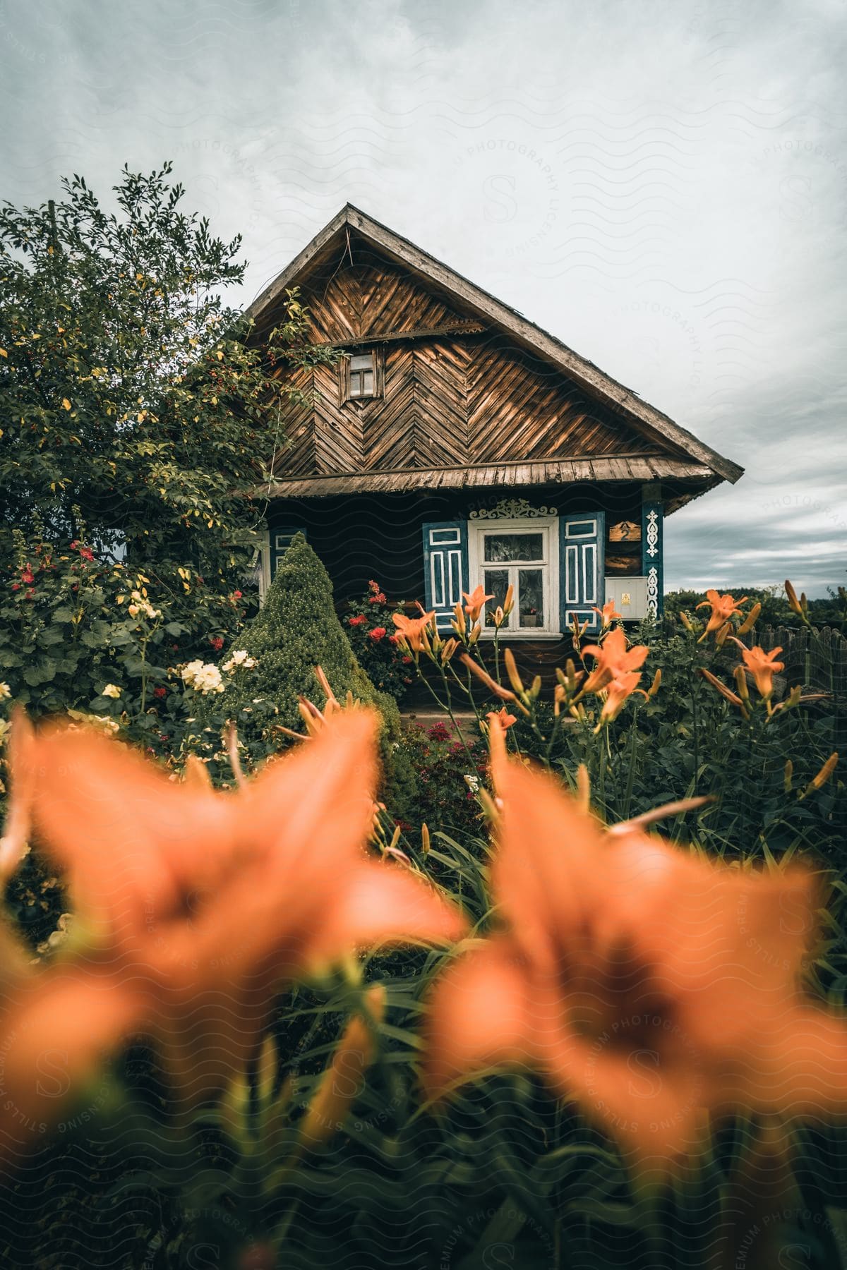 a small, weathered wooden house with a red roof, nestled amongst a variety of colorful flowers and surrounded by tall trees.