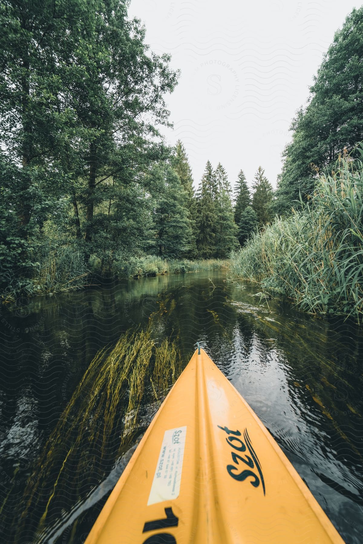 Front part of a canoe on a river with greenish forest trees around it