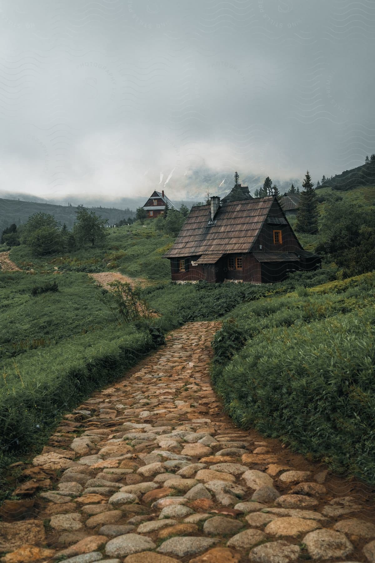 A stone path through the vegetation that leads to old wooden huts