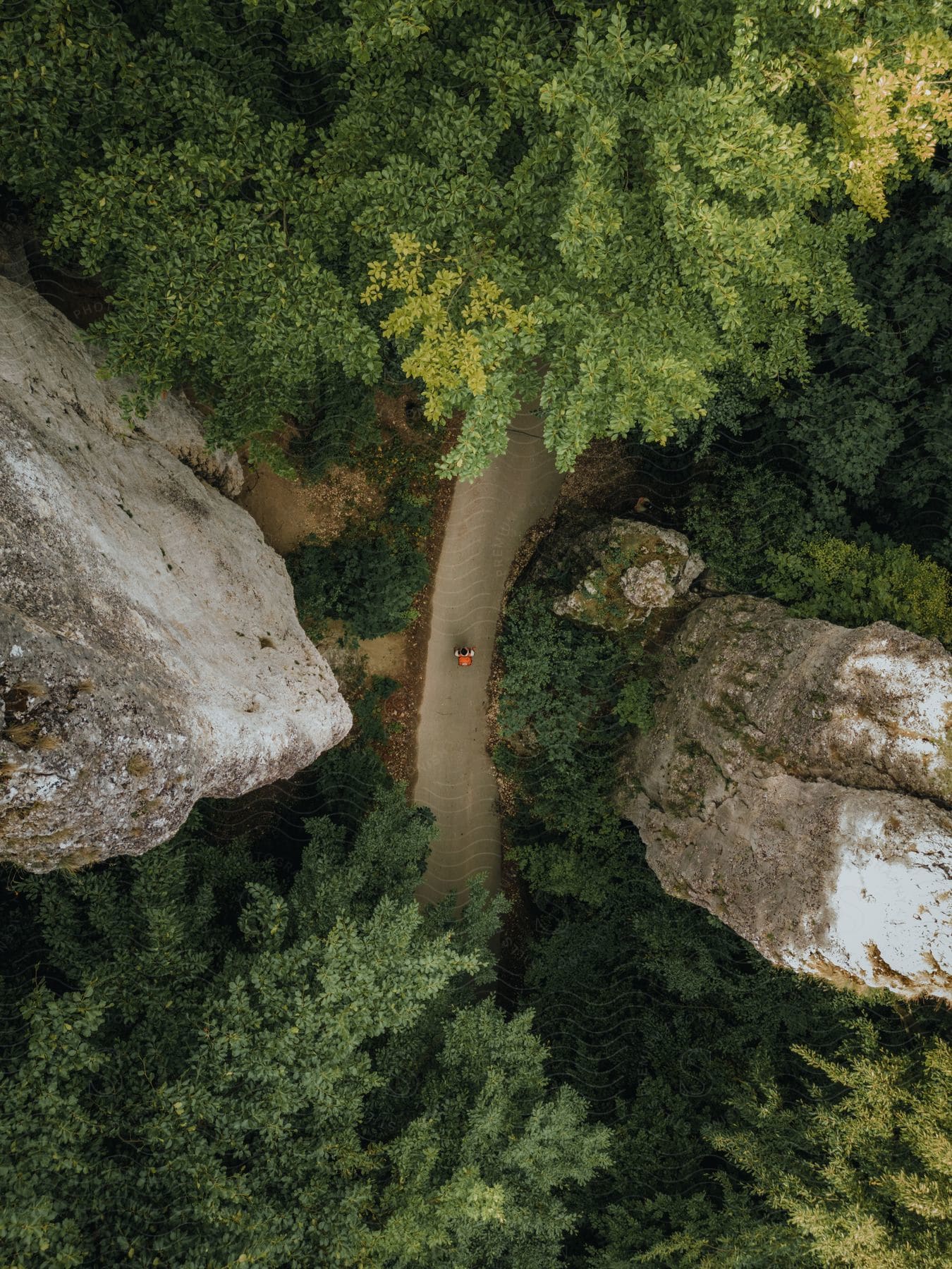 Top view of a person working in a forest with rocks and trees around during the day.