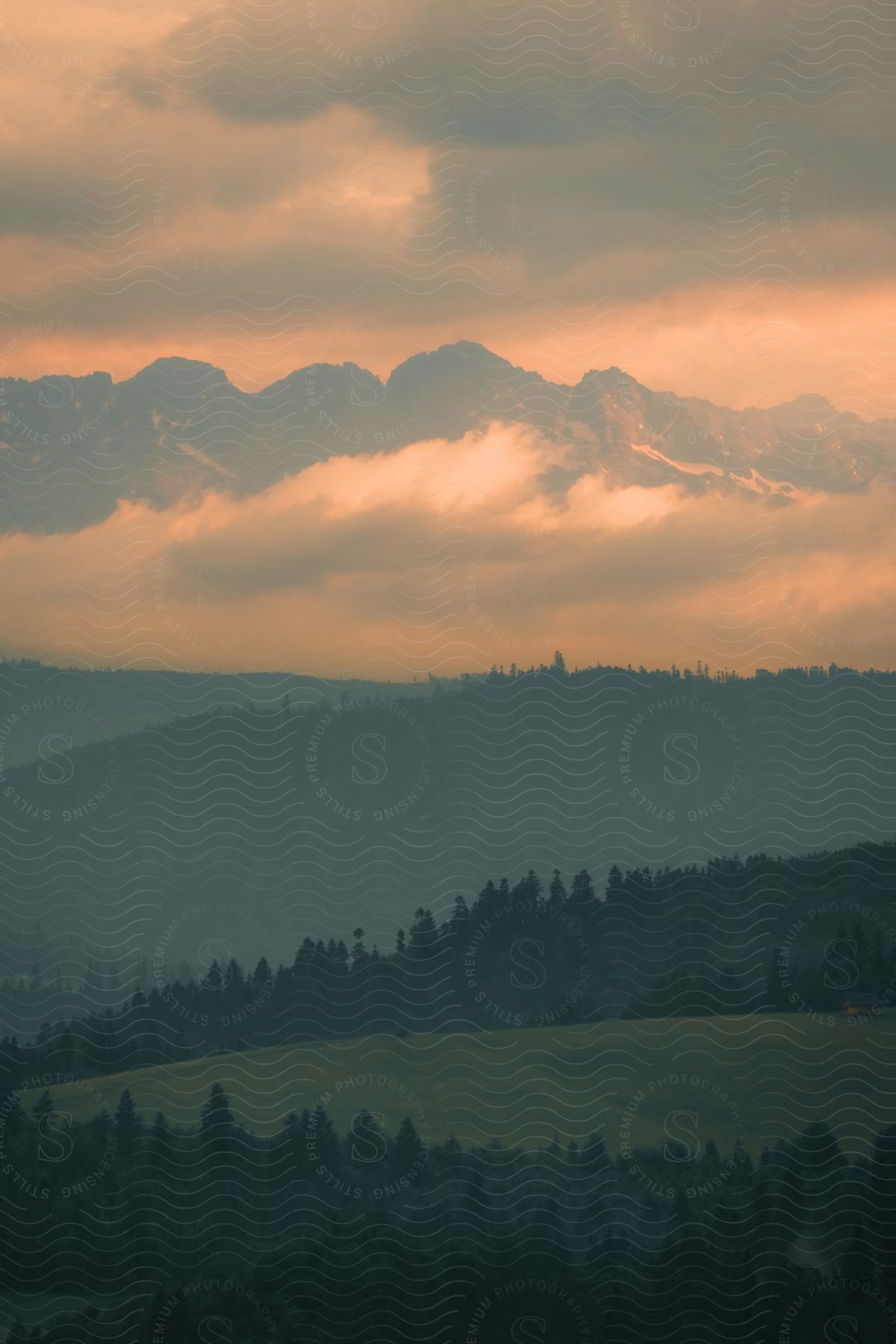 Forests of trees across foggy hills and mountains as the sun illuminates clouds