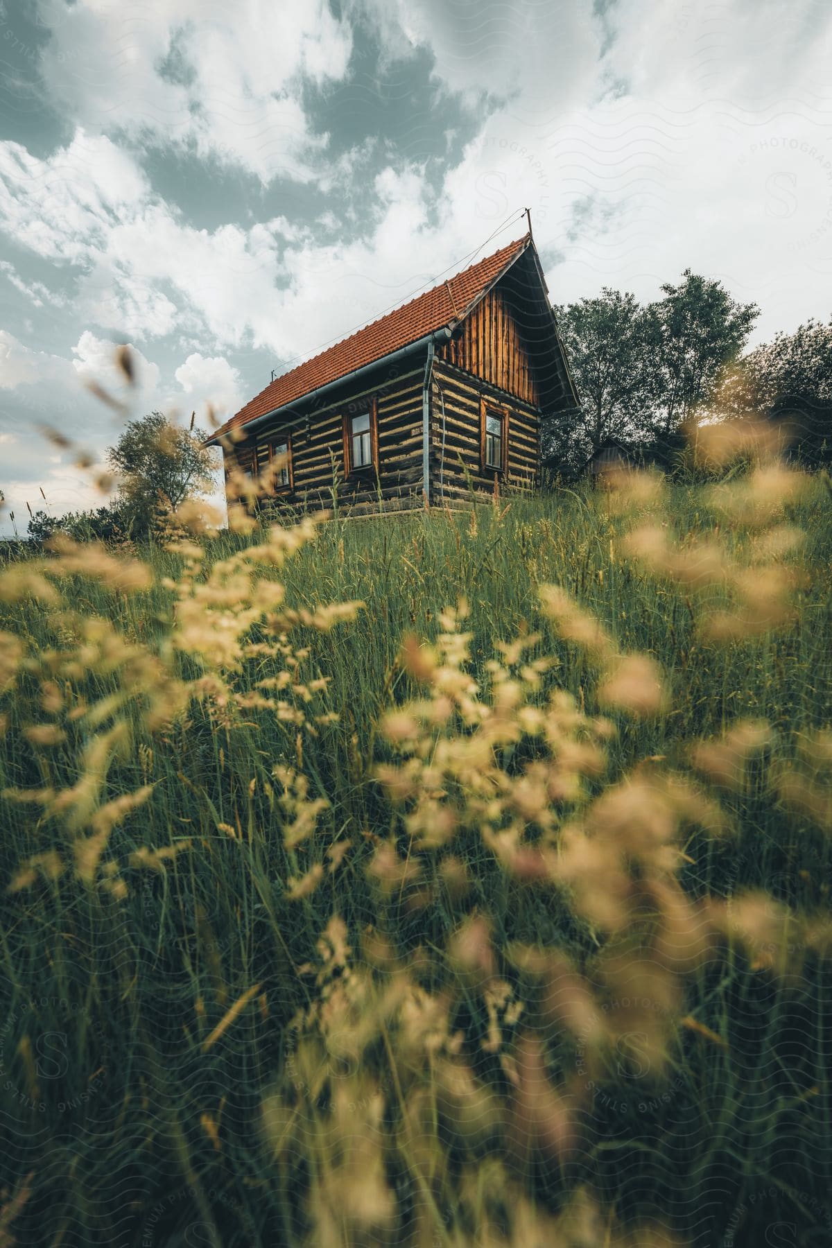 A cozy wooden house, nestled among tall, wild grasses, under a cloudy sky.