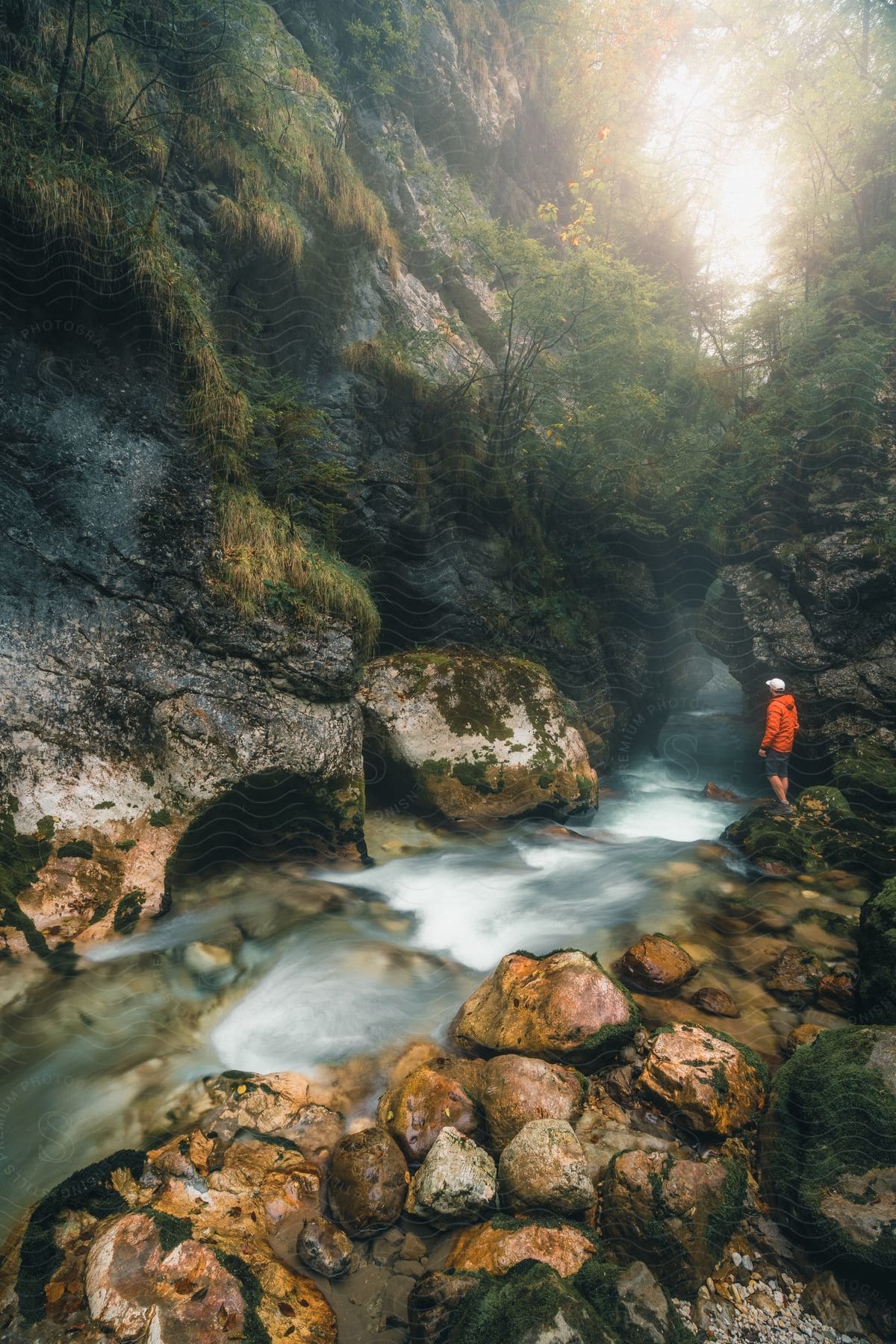 Sunlight filters through trees and rocks as a person stands on a stream's rocky bank.