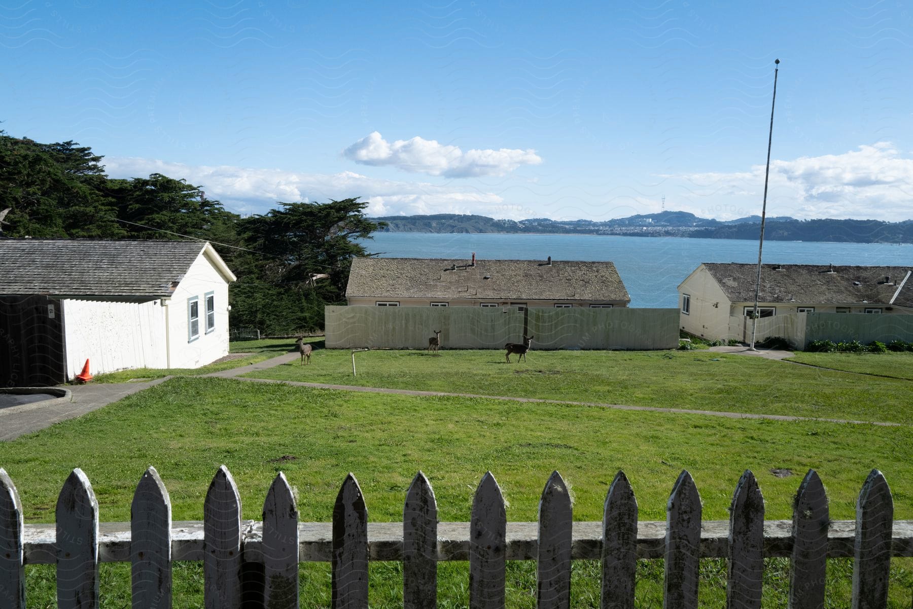 Fenced In Buildings Along The Coast With Ponies In The Yard