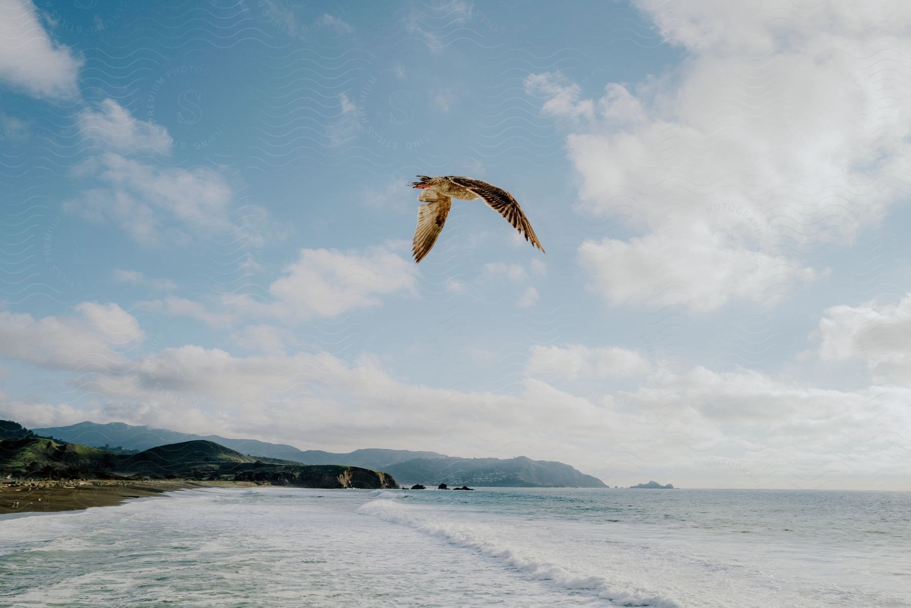 A large bird flying over a beach on a clear day with clouds in the sky and in the background there are some mountains