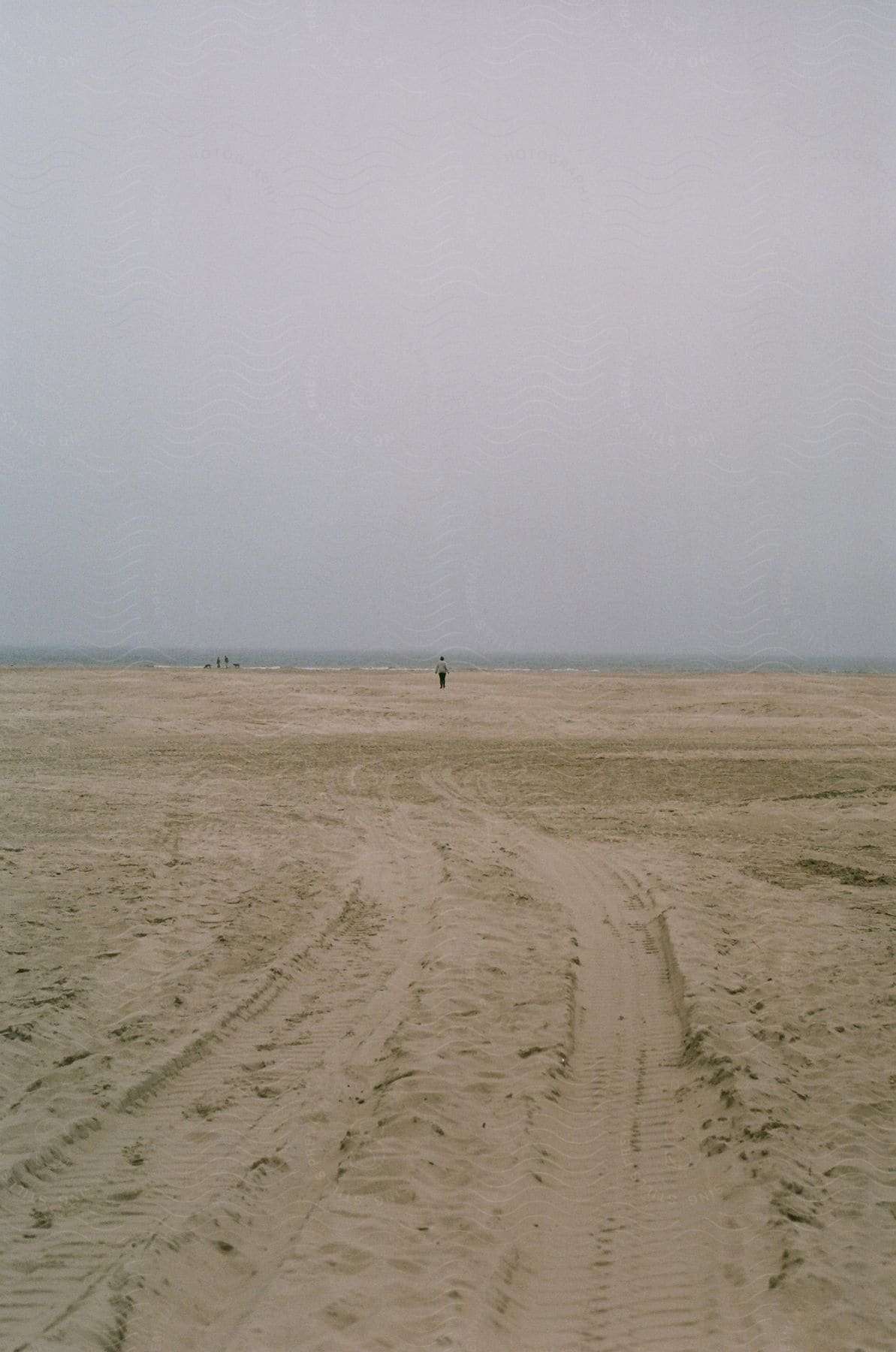 A beach with tire marks on the sand, and one person walking alone towards the sea