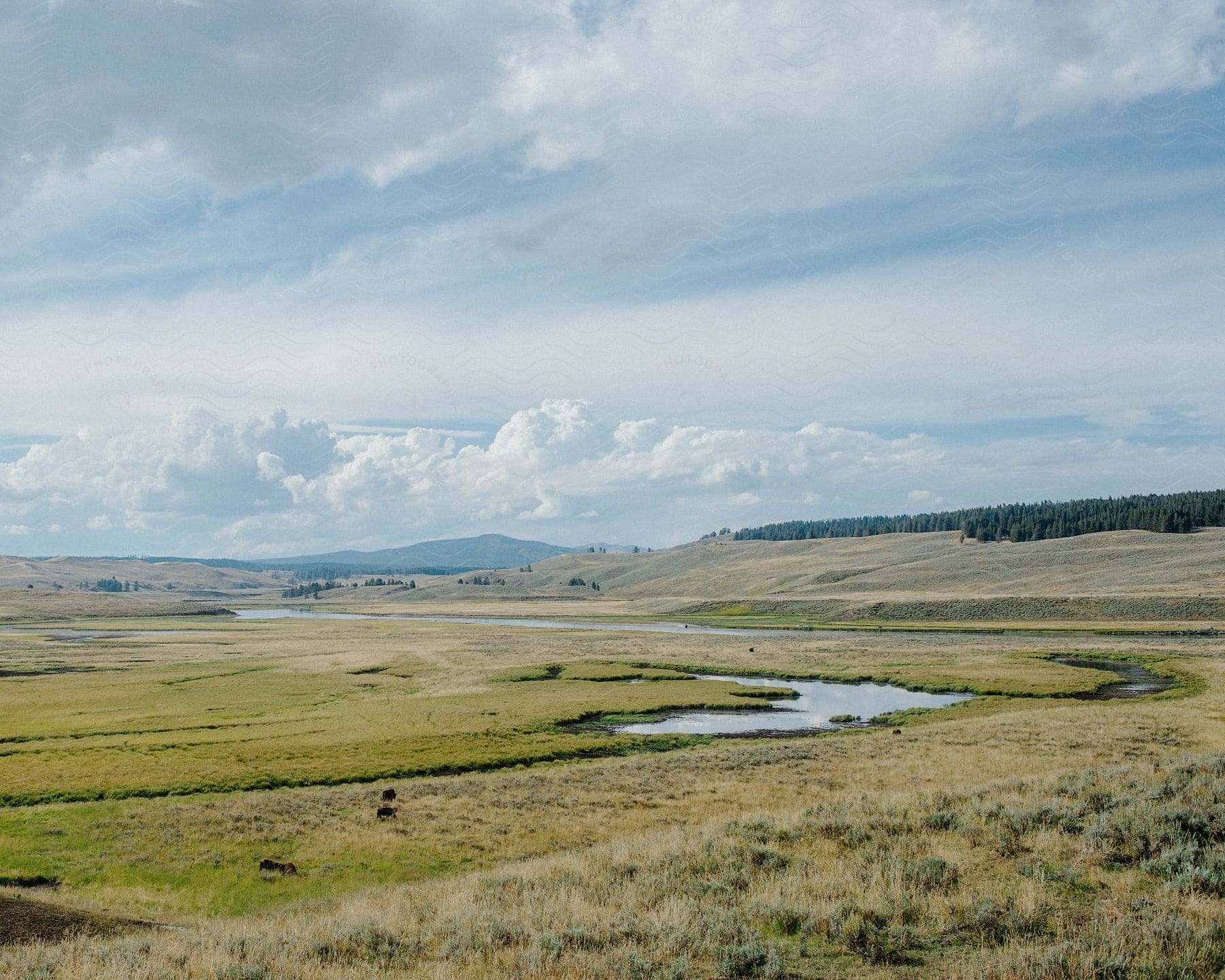 Expansive grassy wetland with water channels and distant rolling hills under a partly cloudy sky.