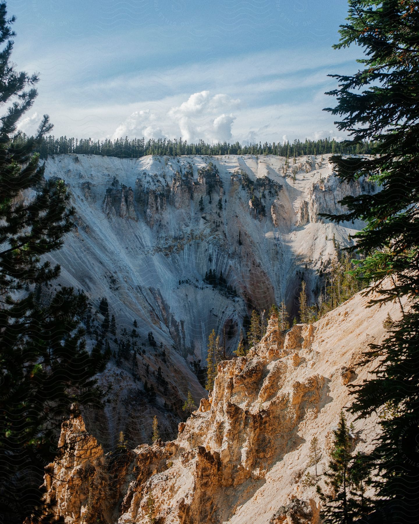 Aerial of a mountain surrounded by a pine forest.