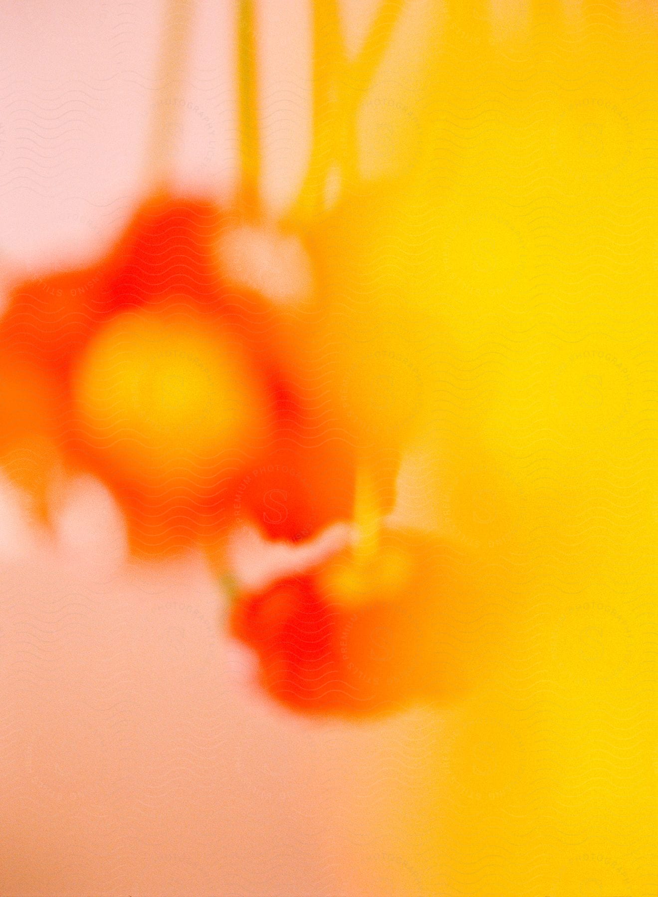 Abstract floral shapes red and yellow bokeh