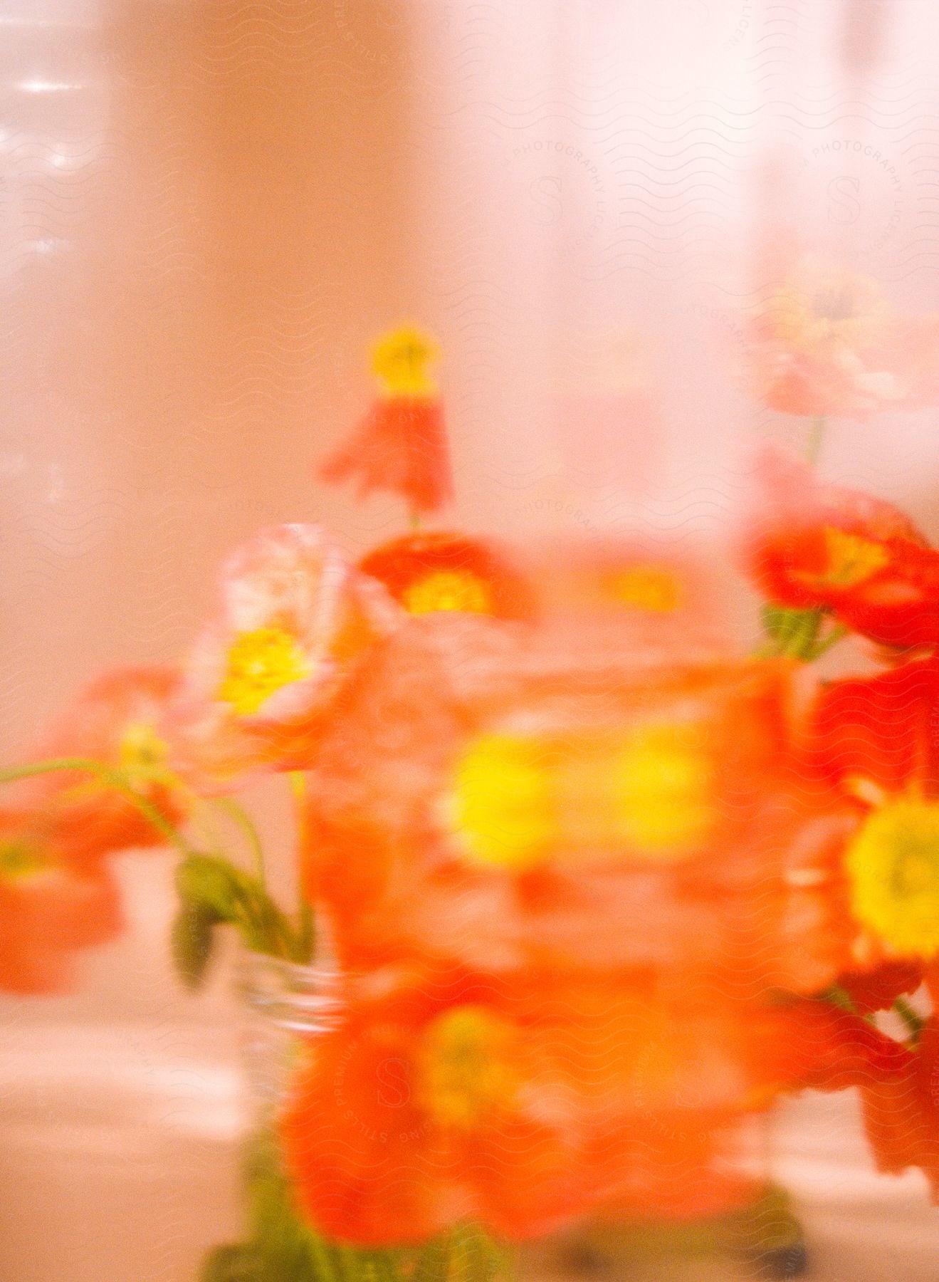 Blurry red flowers with yellow centers in a glass container.