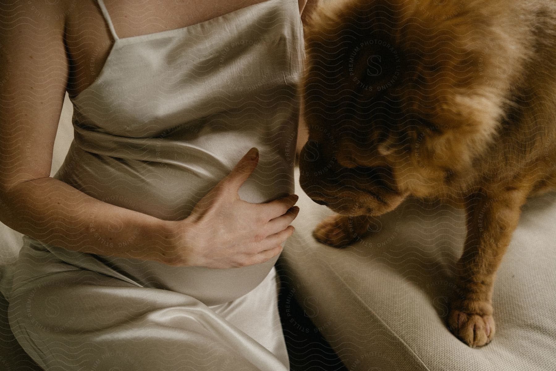 Pregnant woman touches her abdomen next to shaggy dog.