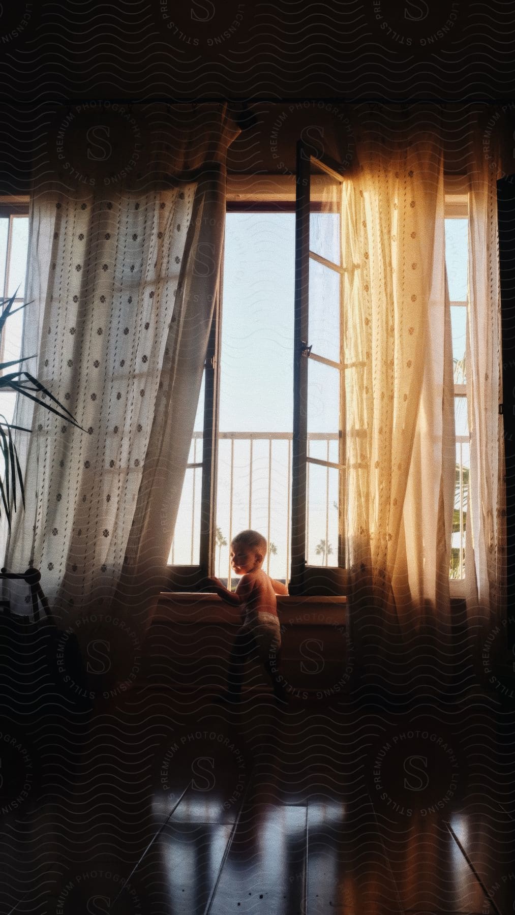 A toddler wearing a diaper stands in front of a window adorned with long curtains, their curious gaze taking in the world outside.