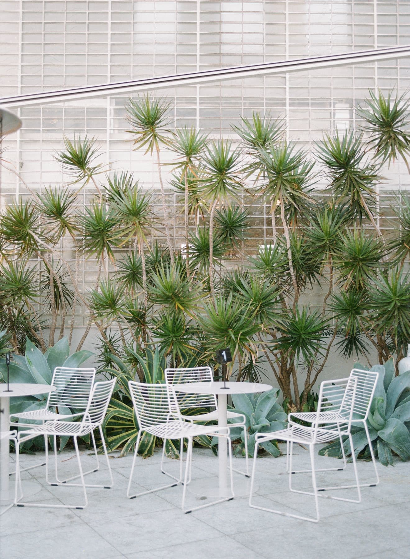 Outdoor tables and a garden sit at base of building wall composed of glass panels.