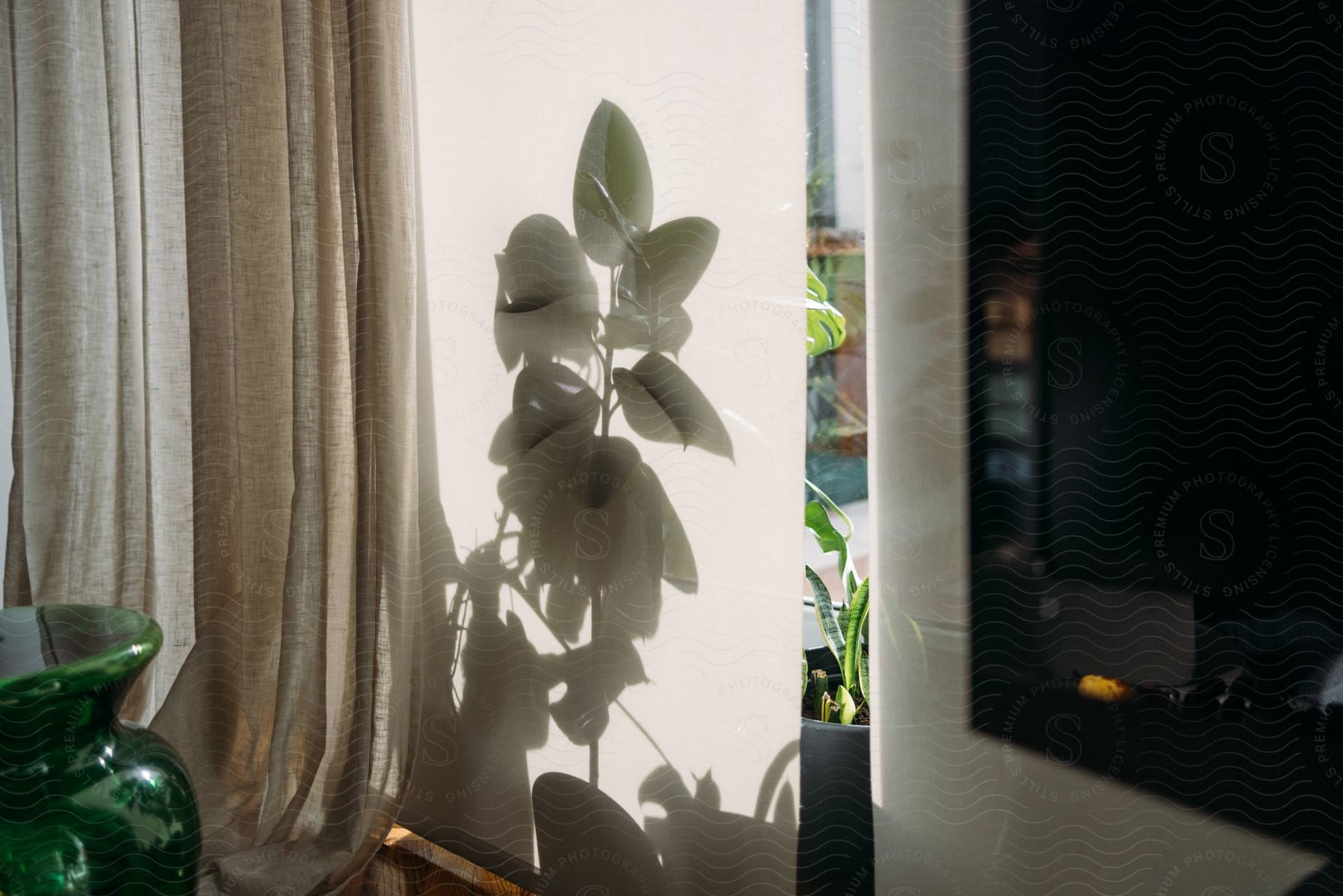 Sunlight filters through a window, casting the shadow of a plant on a beige curtain and surrounding a television and a green vase.