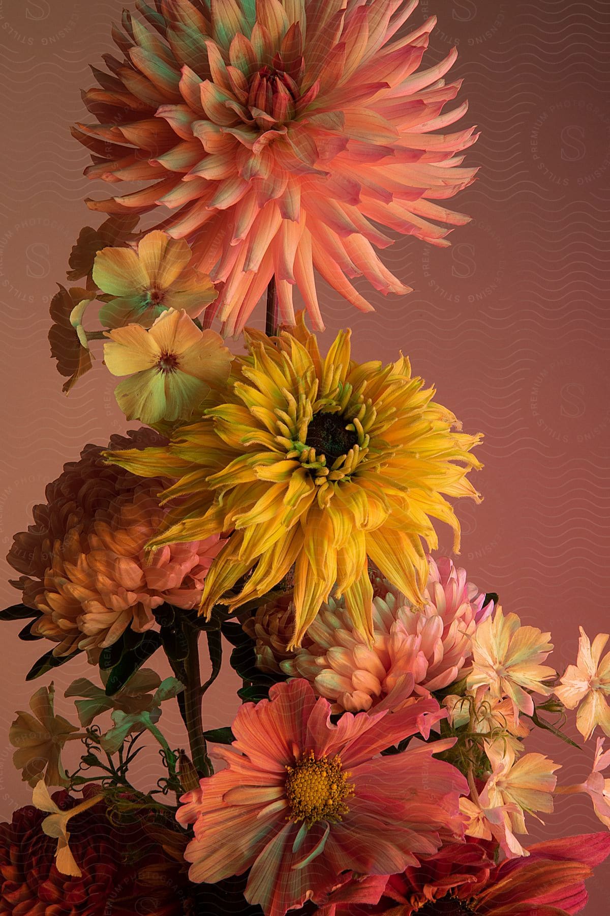 An arrangement of pink and yellow flowers.