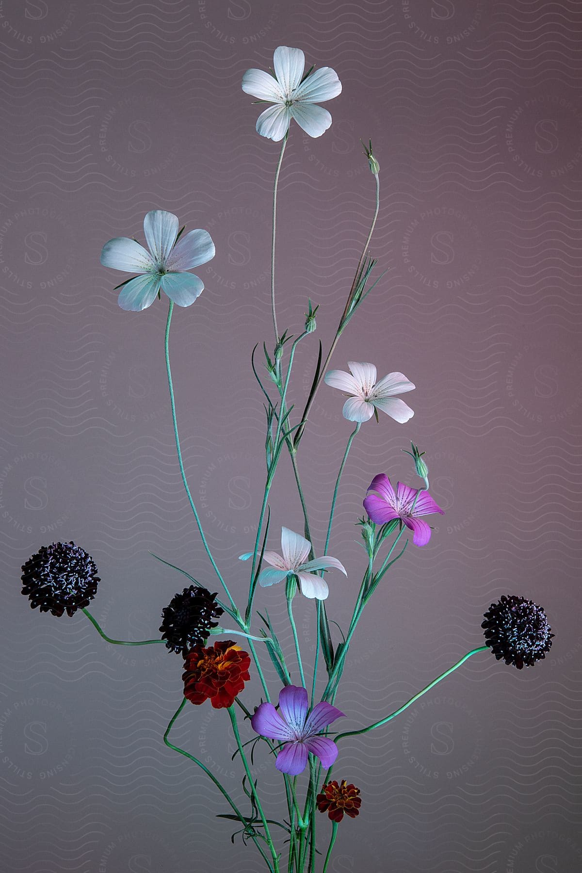 A sparse flower arrangement