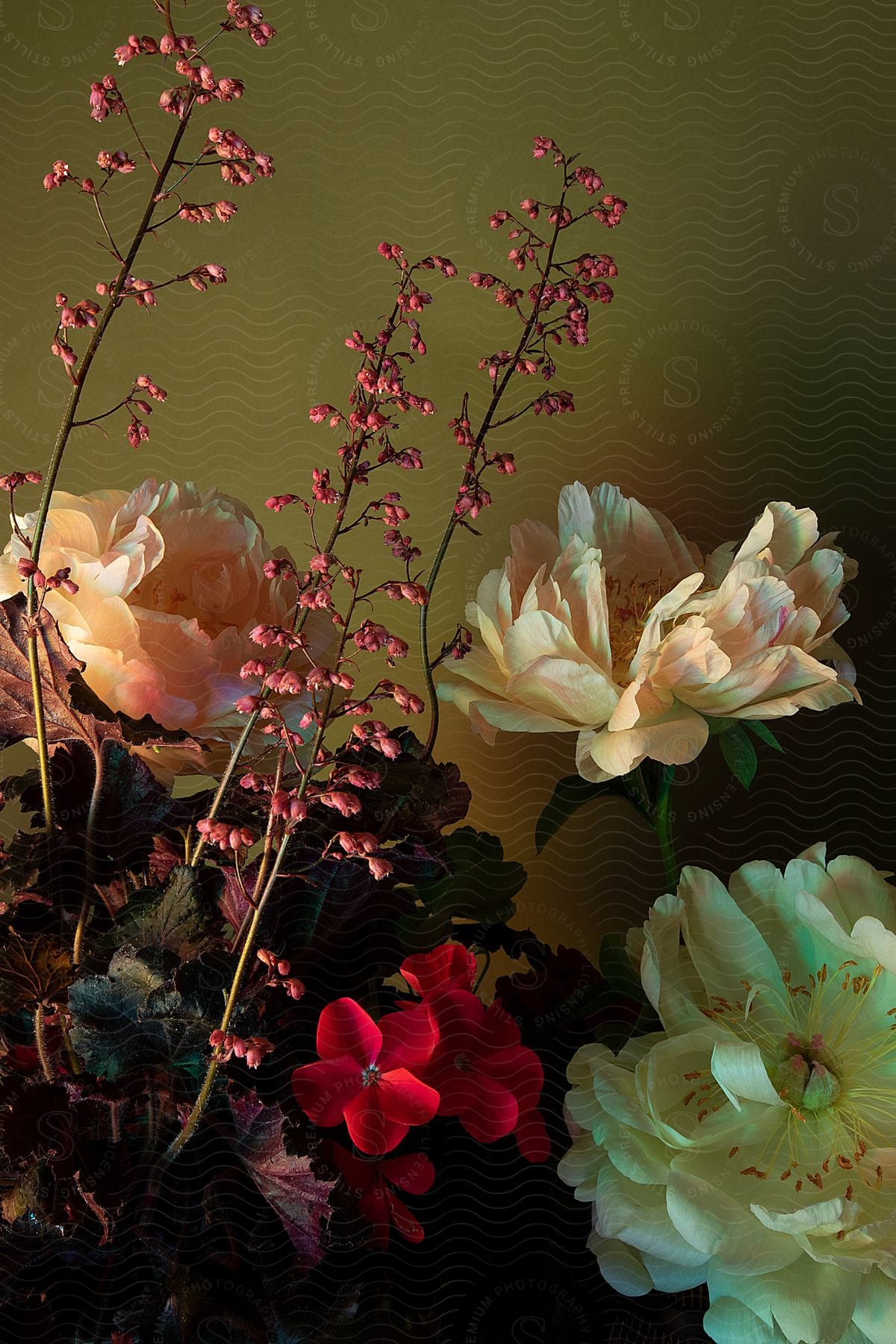 A series of beautiful flowers are illuminated against a dark background, creating an artistic effect.