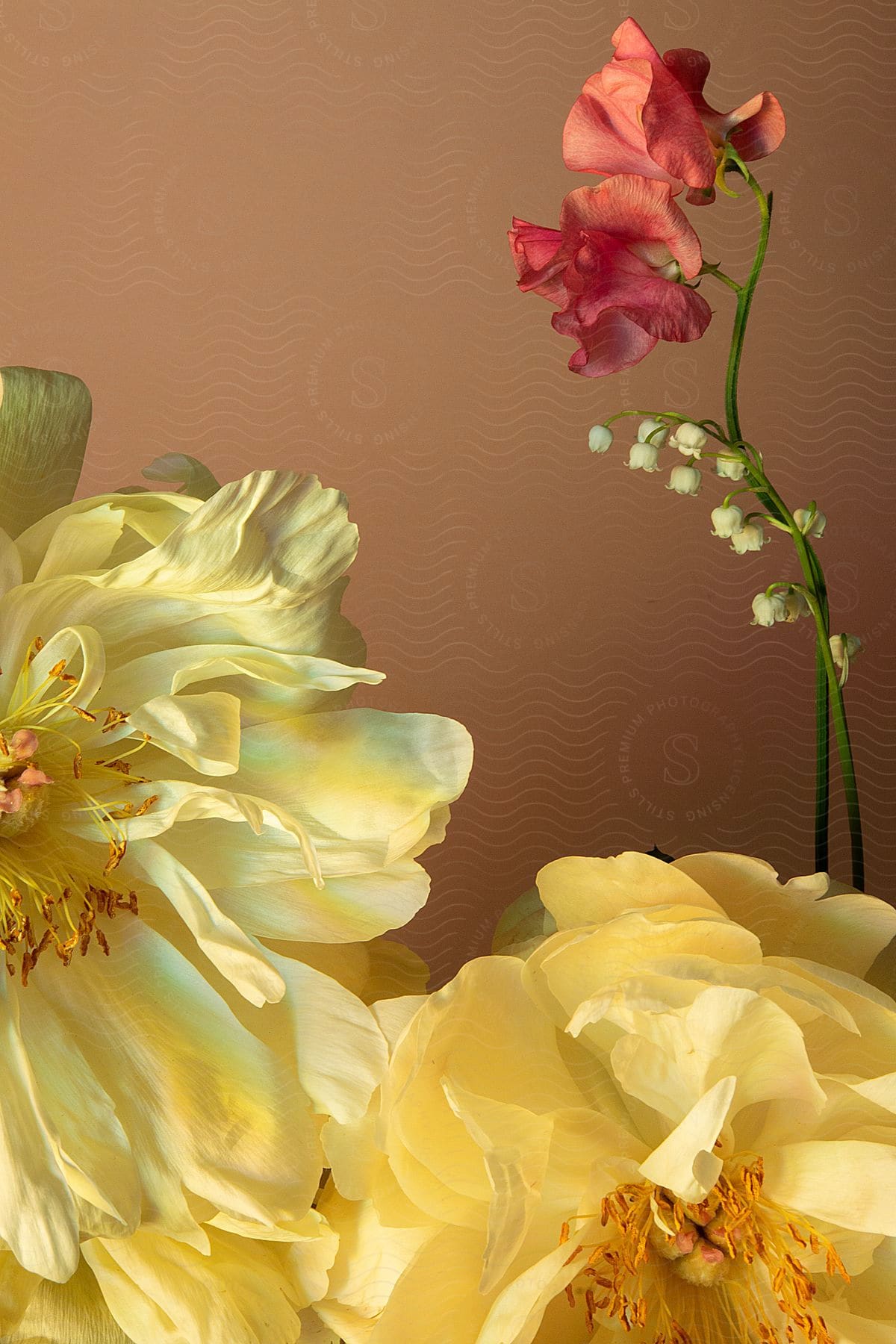 Yellowish flowers with pollen and in the upper right corner a pink flower with a green stem and a blurred background