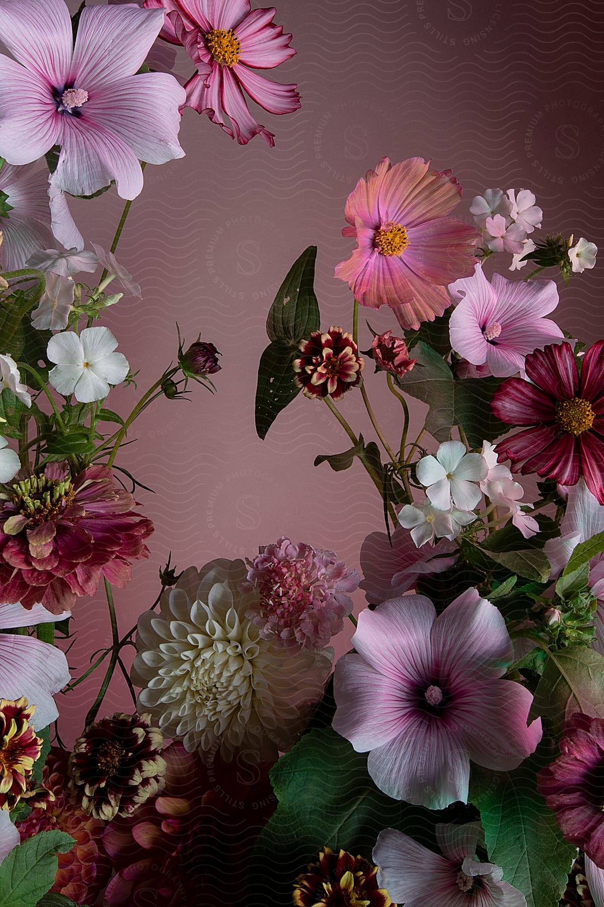 A variety of colorful flowers against a muted pink background
