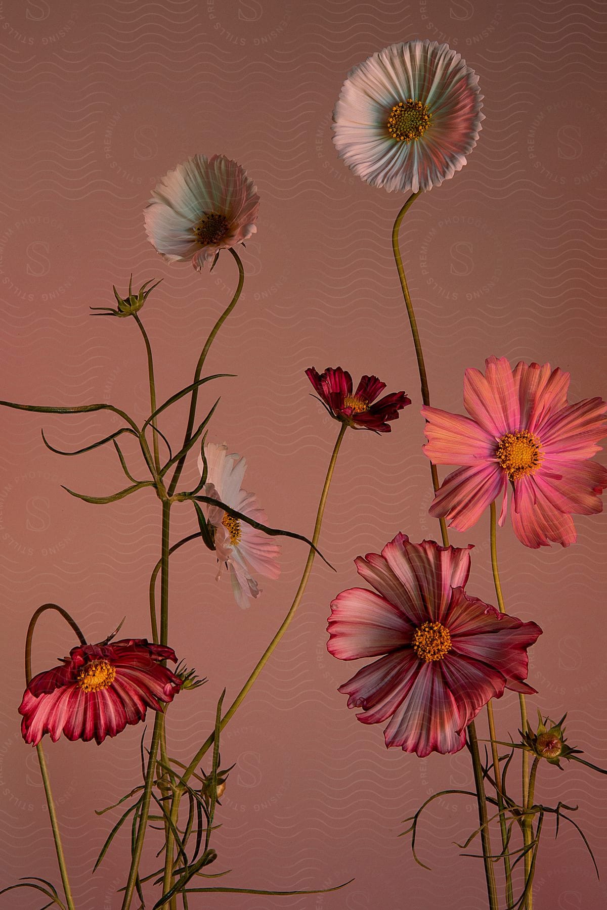 Some flowers in a vase in a room.