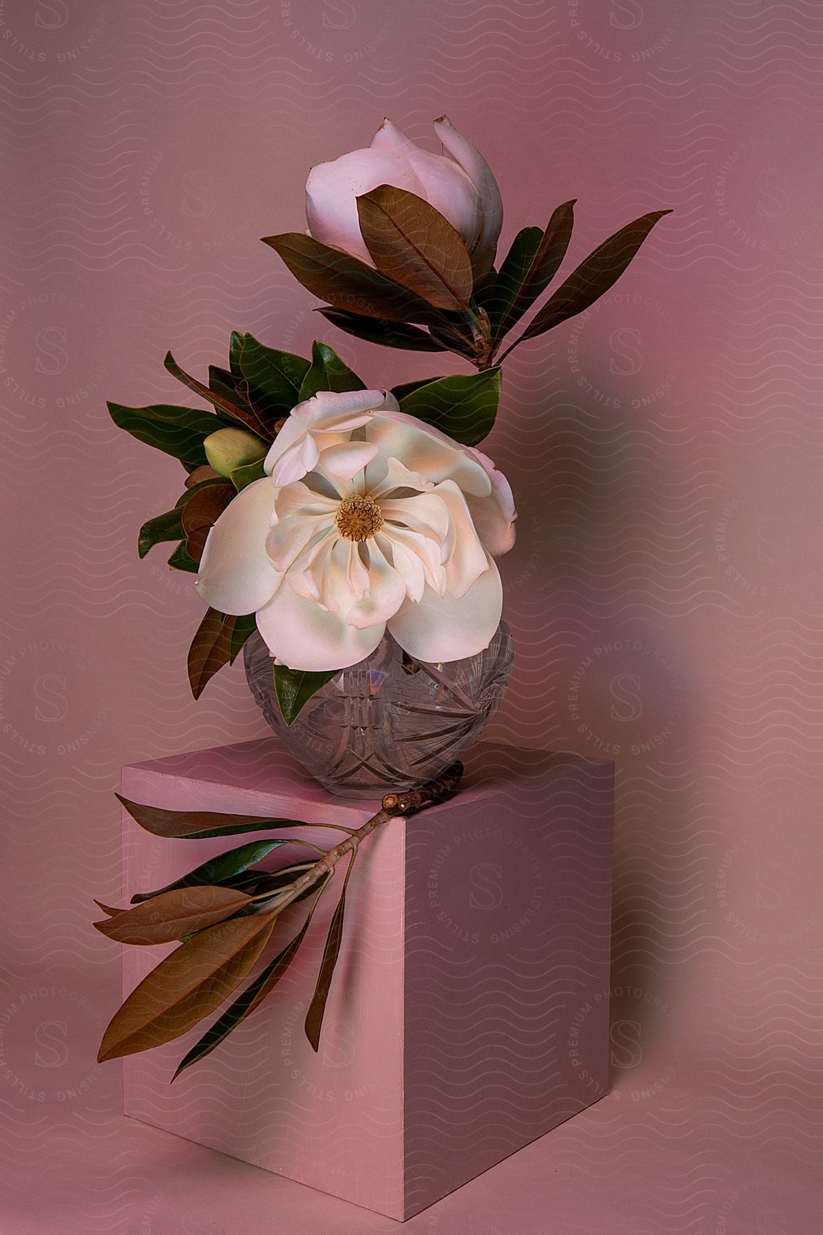 A Floral Arrangement In A Crystal Vase On A Pink Box Against A Pink Background