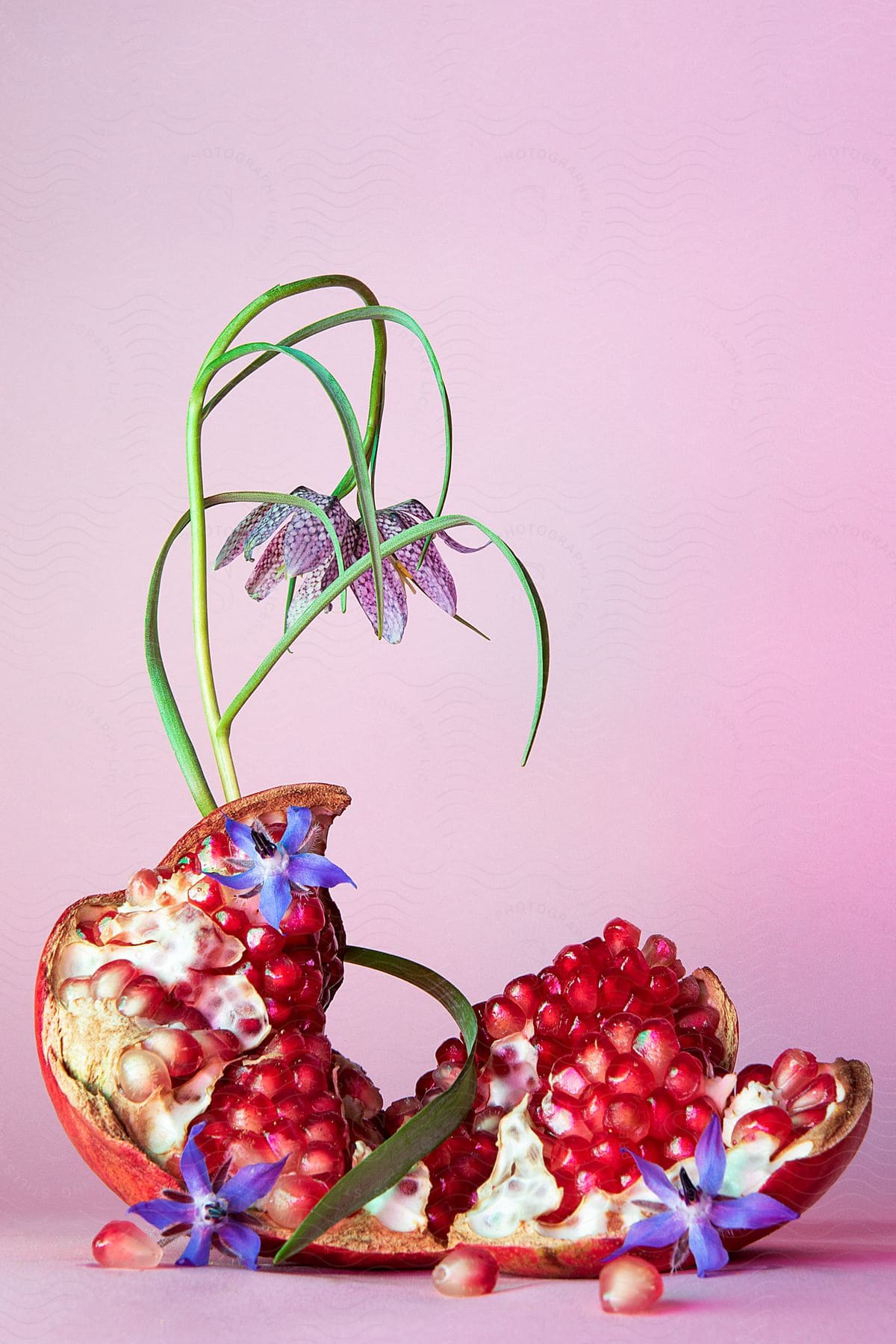 A split pomegranate with seeds spilled out lies on a pink background with purple flowers.