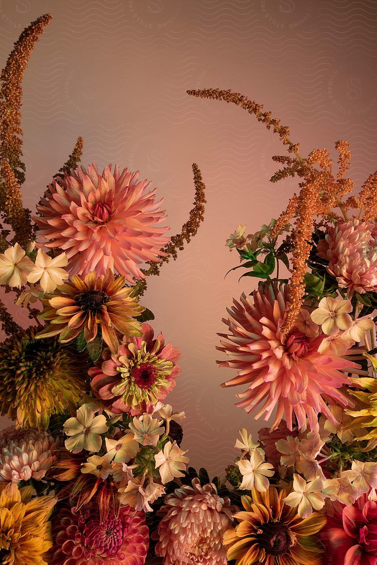 Pink and yellow flowers of different colors and sizes in a botany on a blurred background