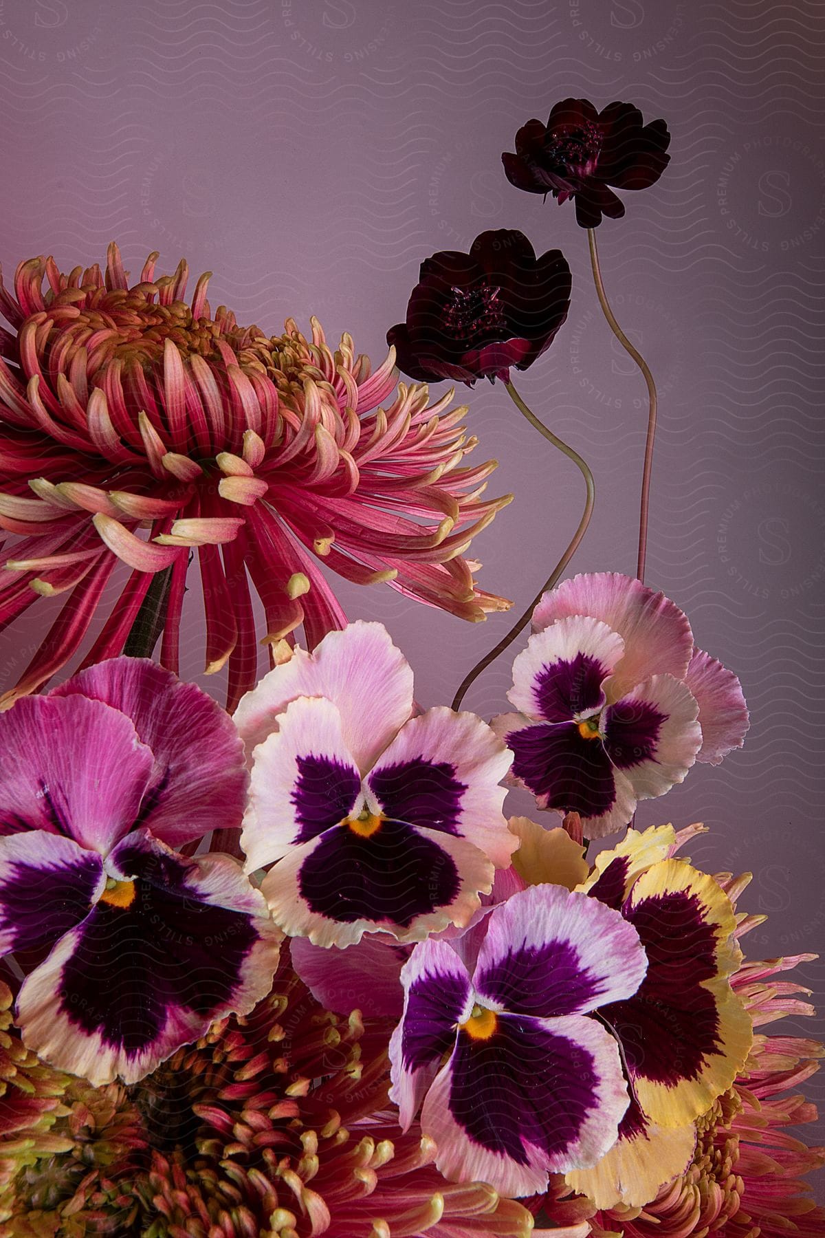 Still life of flowers of different species clustered on a purple background