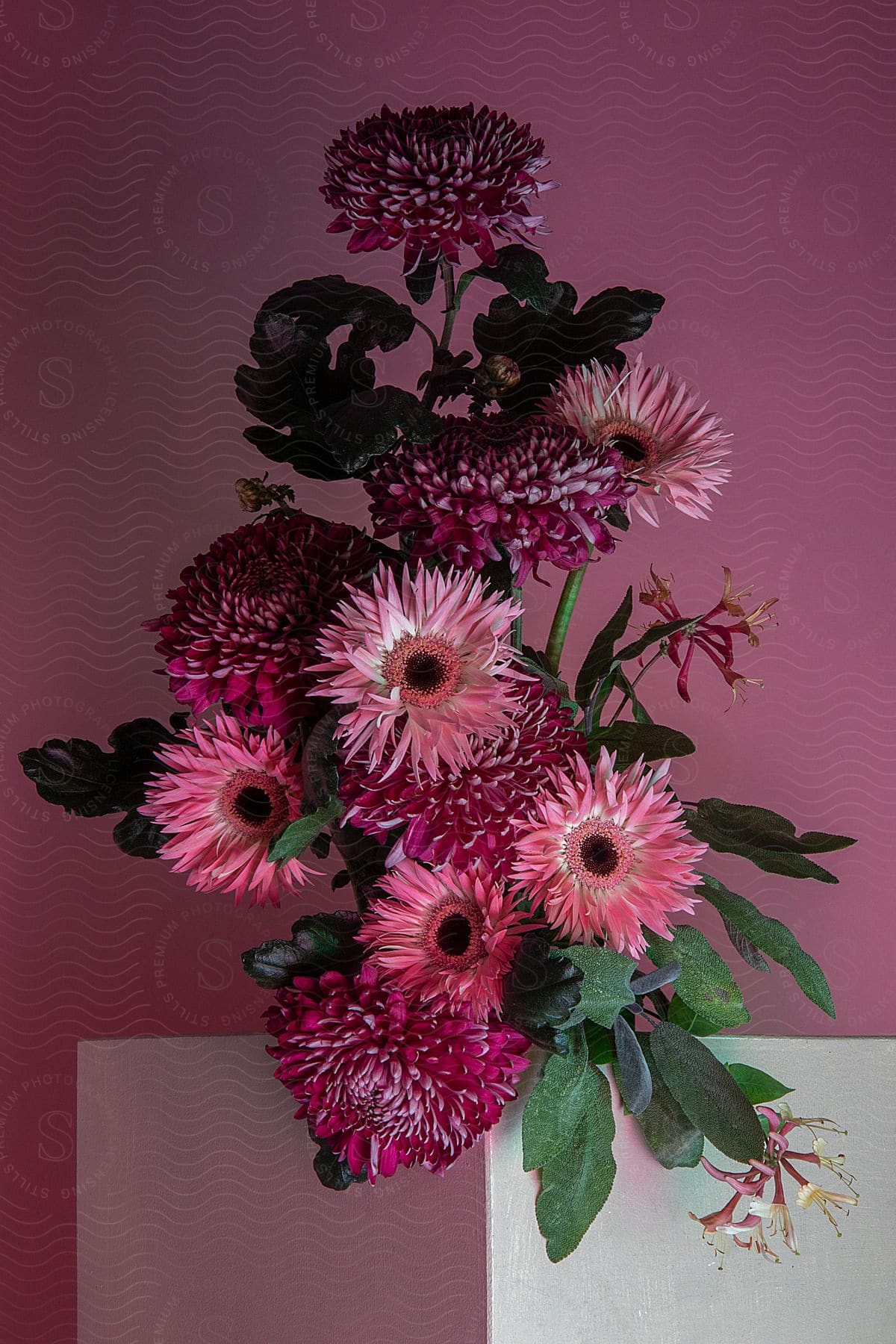 A dahlia floral arrangement sits on a white block table in front of a pink background.