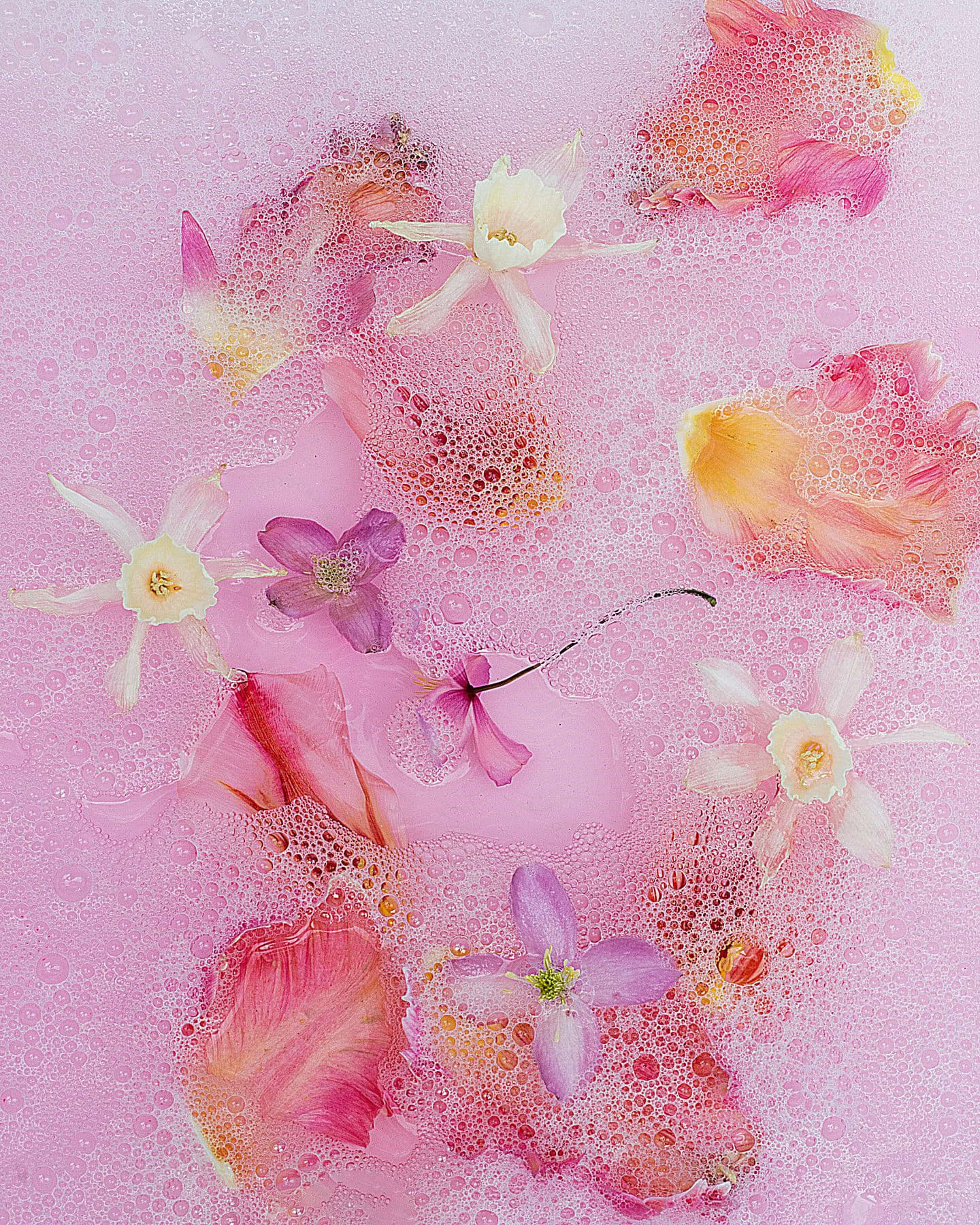 Still life of a water with white pink and purple flowers mixed in soap bubbles