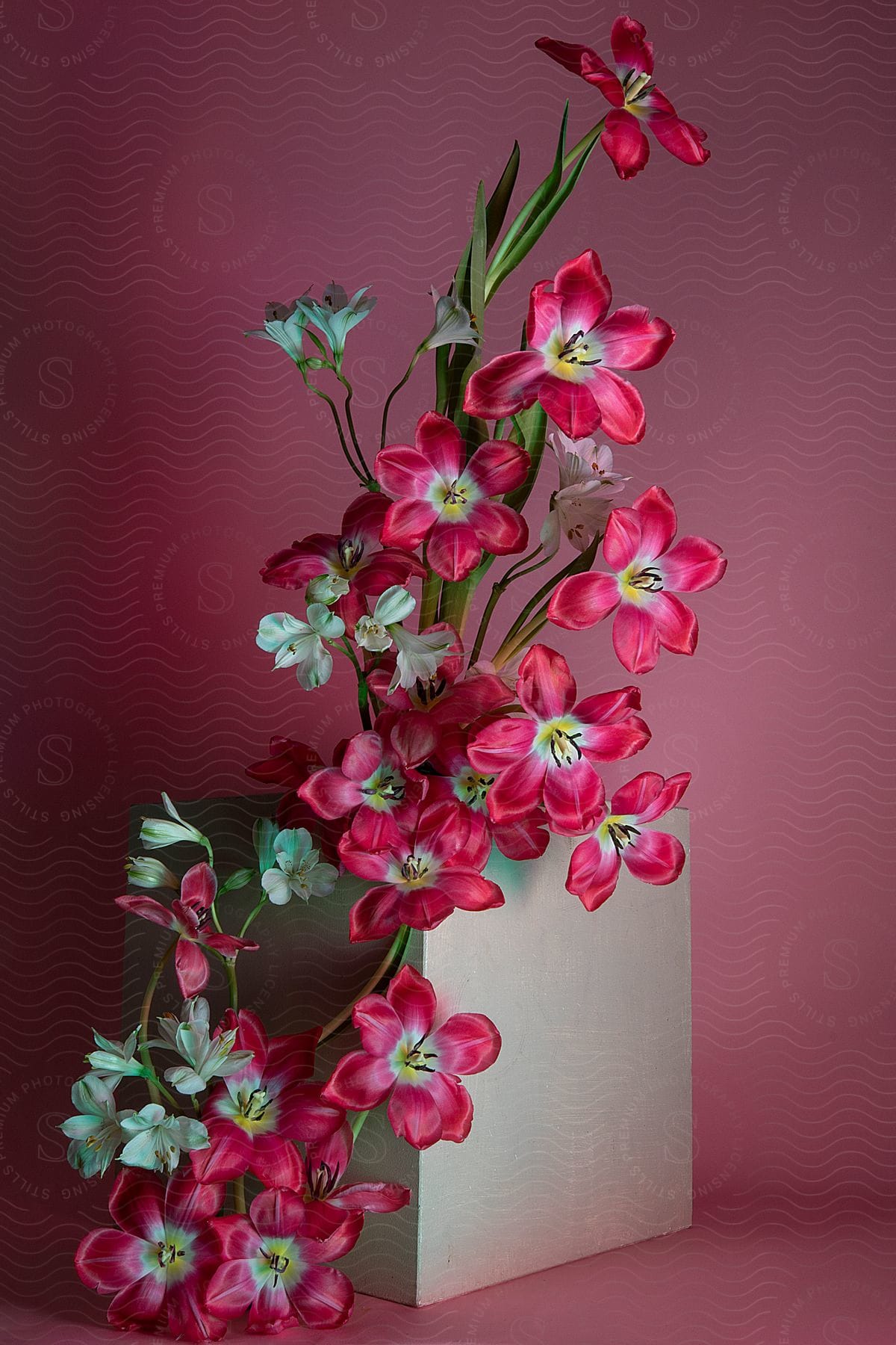 Red and pale flowers arranged in a geometric vase against a pink backdrop.