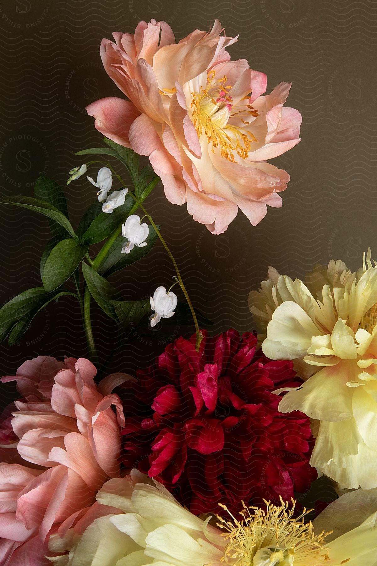 Flowers spread their petals in a colorful arrangement