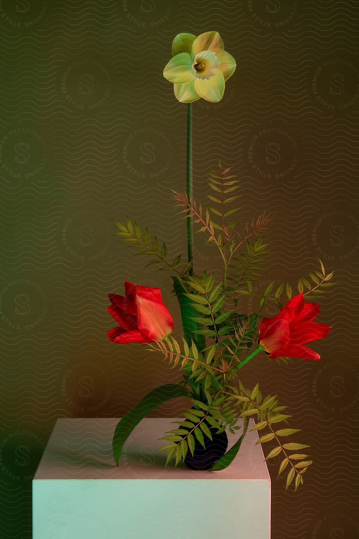 a flower plant growing from a box with leaves, red and yellow flower