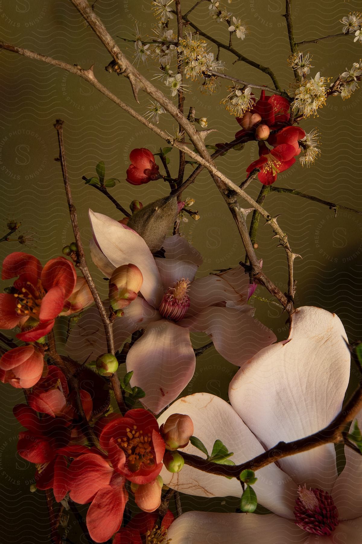 A red and white floral arrangement with branches sits in a vase on a table against a green wall.