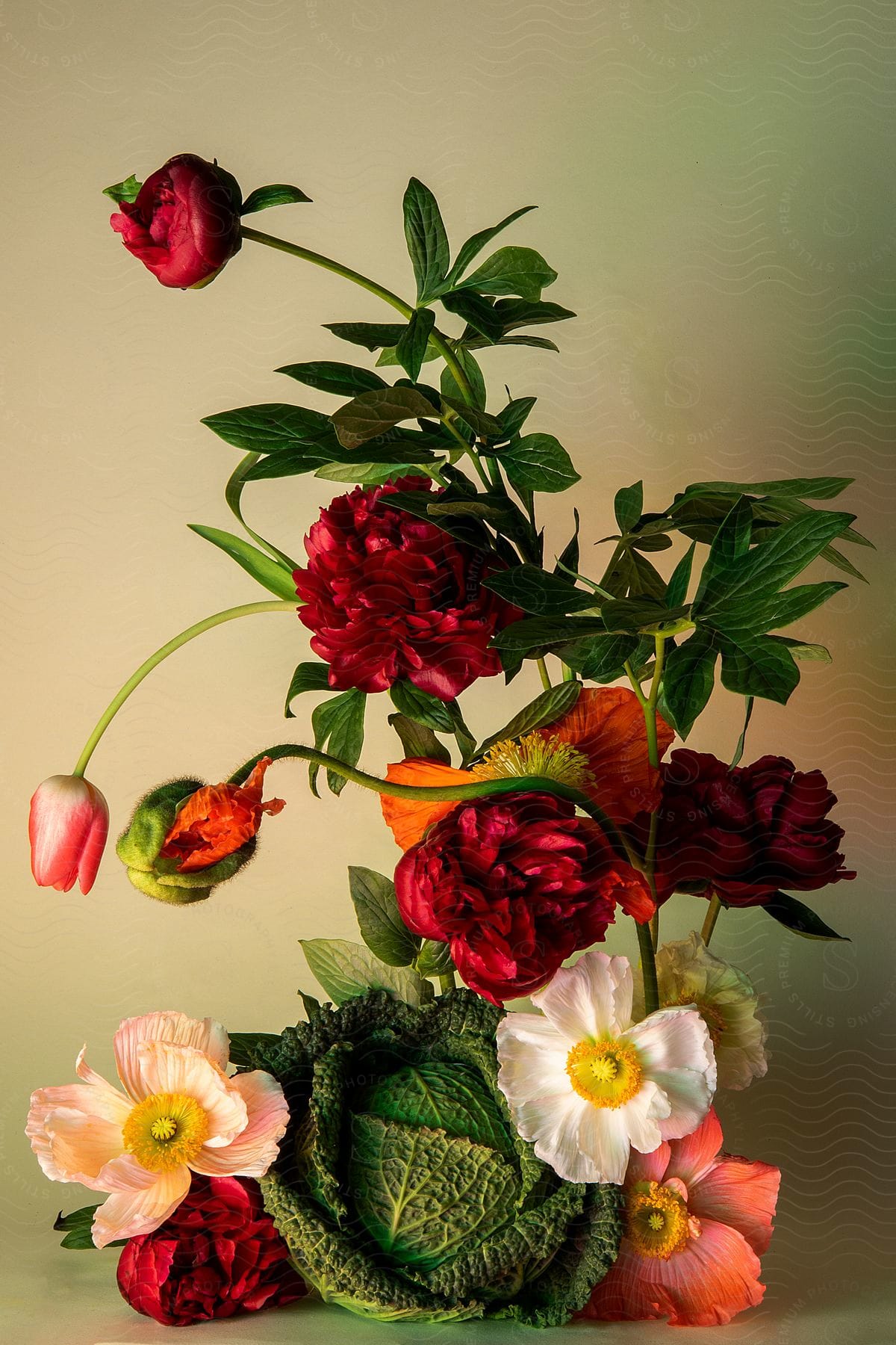 An arrangement of white, pink and red flowers around a cabbage.