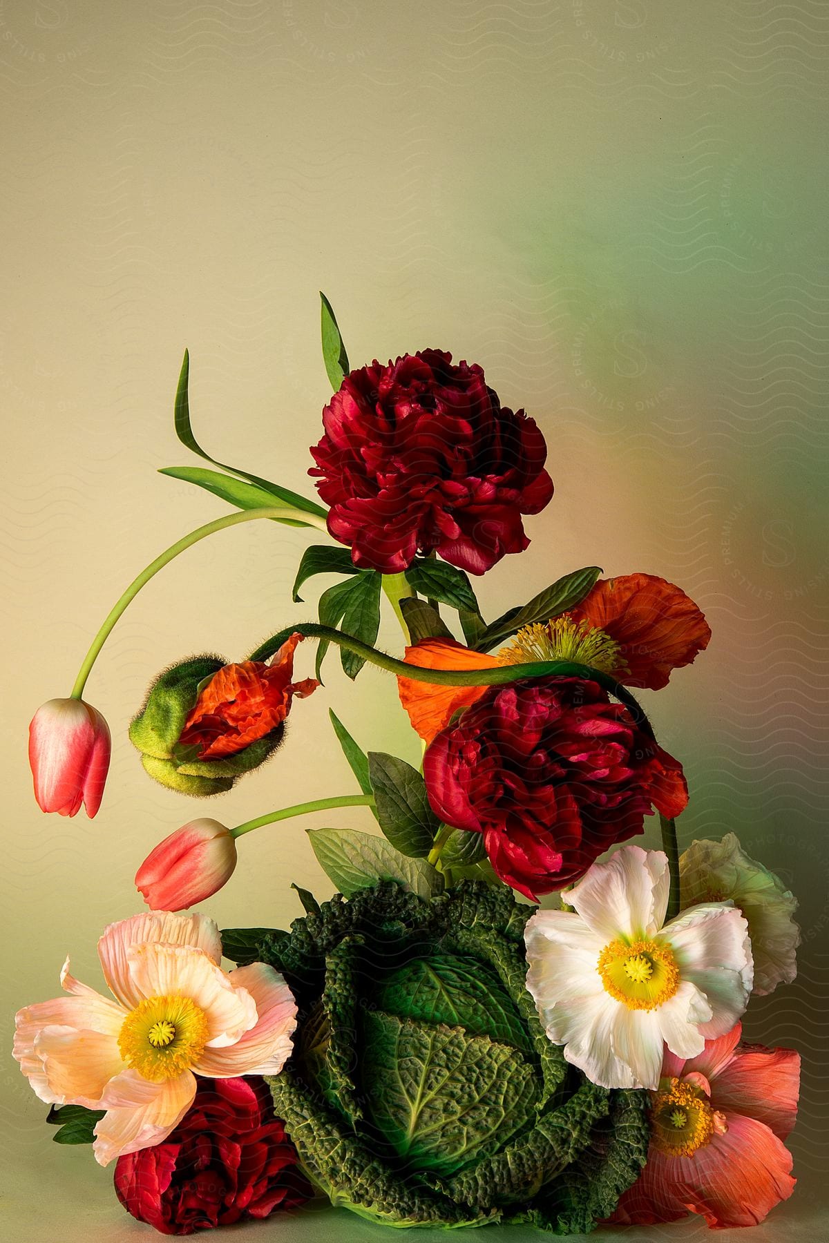 A vibrant bouquet of flowers including red peonies and white poppies against a gradient background