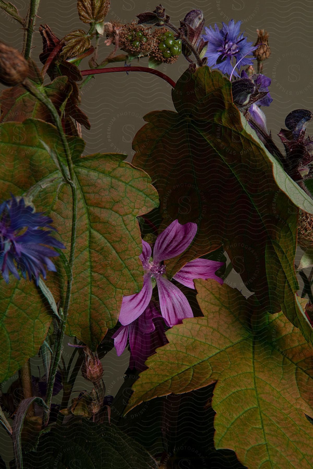 A loose flower arrangement comprised of varying shades of purple flowers and large green leaves.