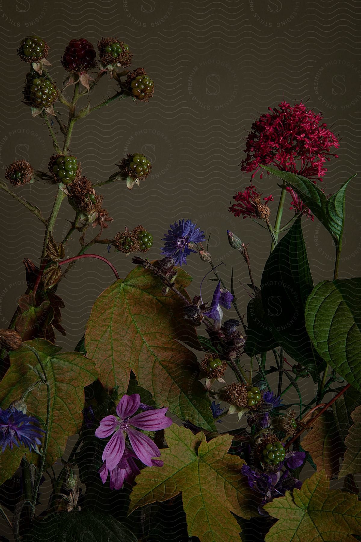 Assortment of purple and pink flowers and wild fruits with green berries on a blurred background.