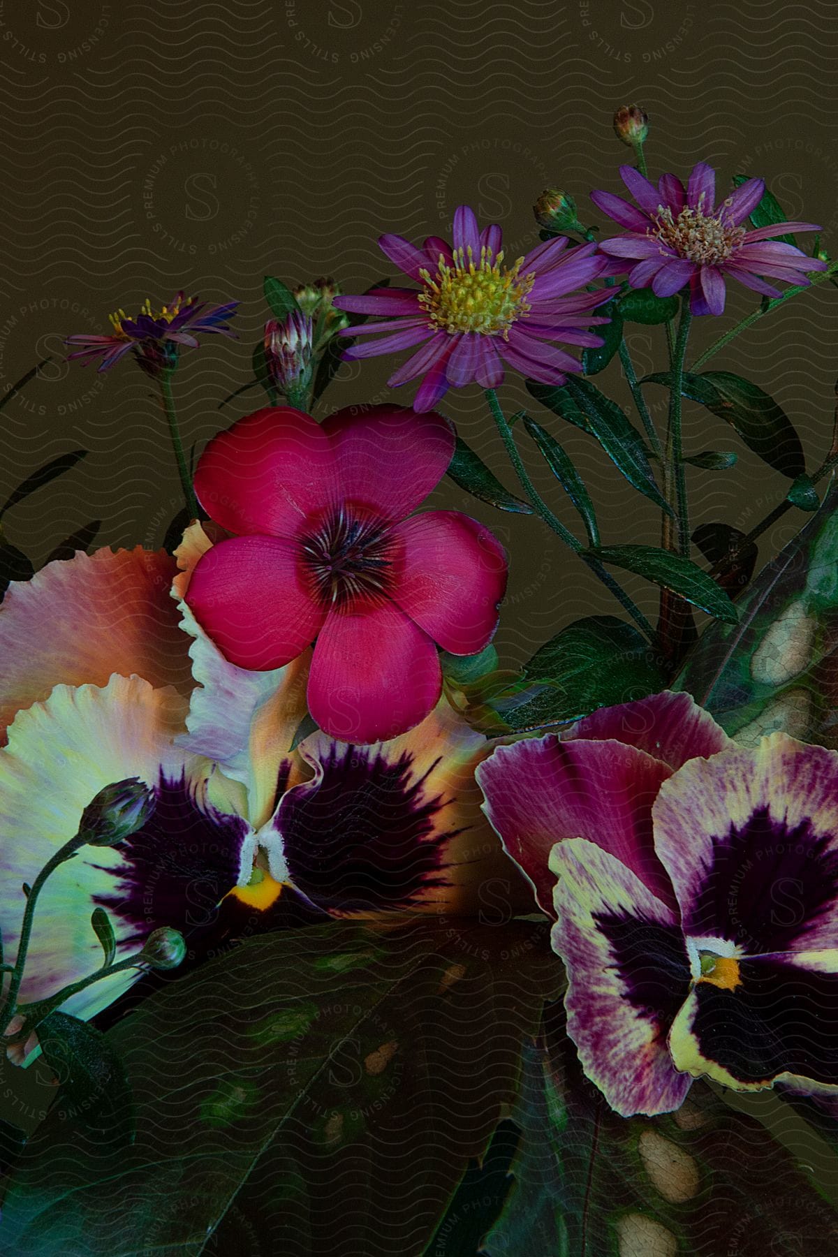 flowers arrangement with colorful petals