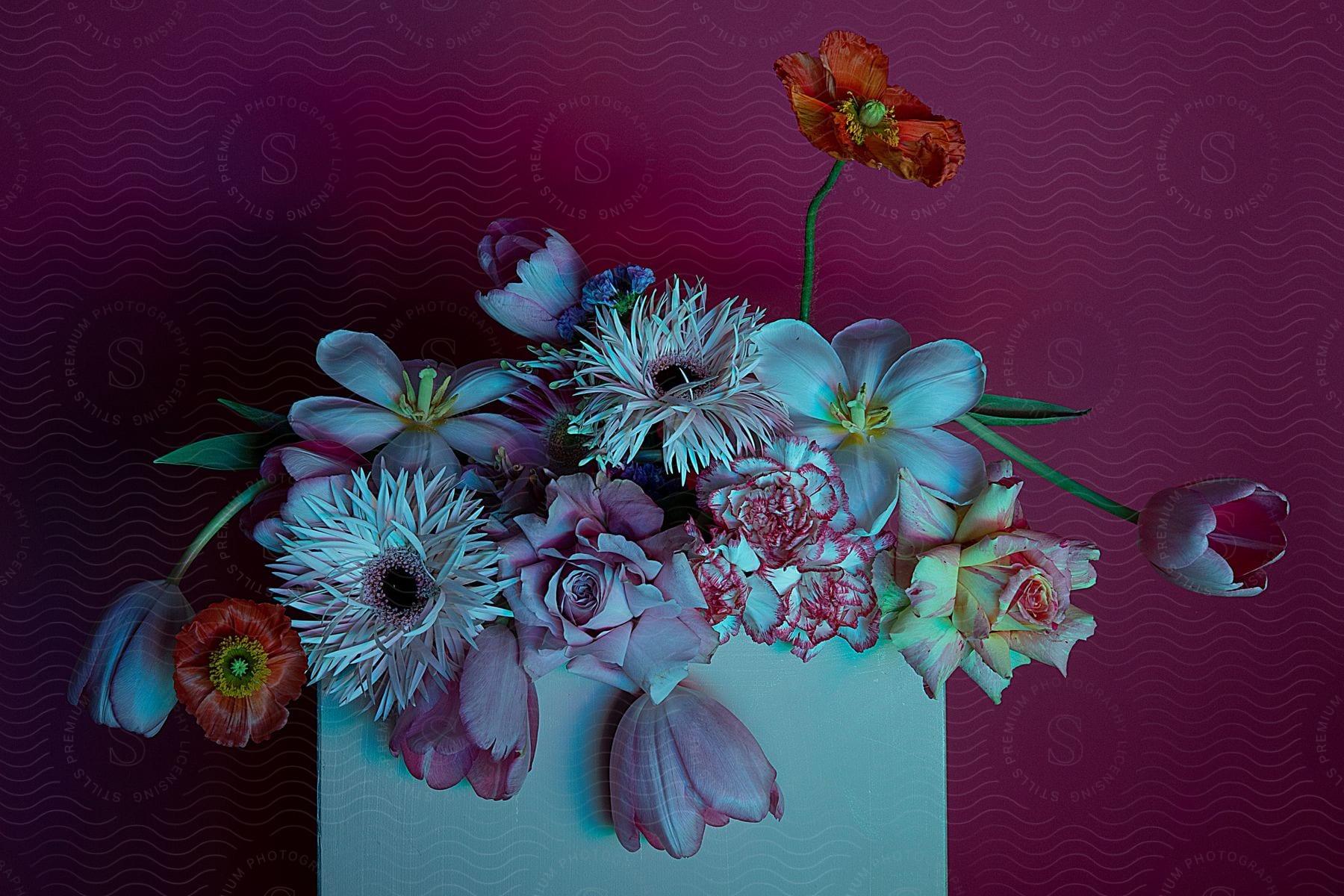 A vibrant bouquet of colorful flowers sits in a clear vase on a purple background