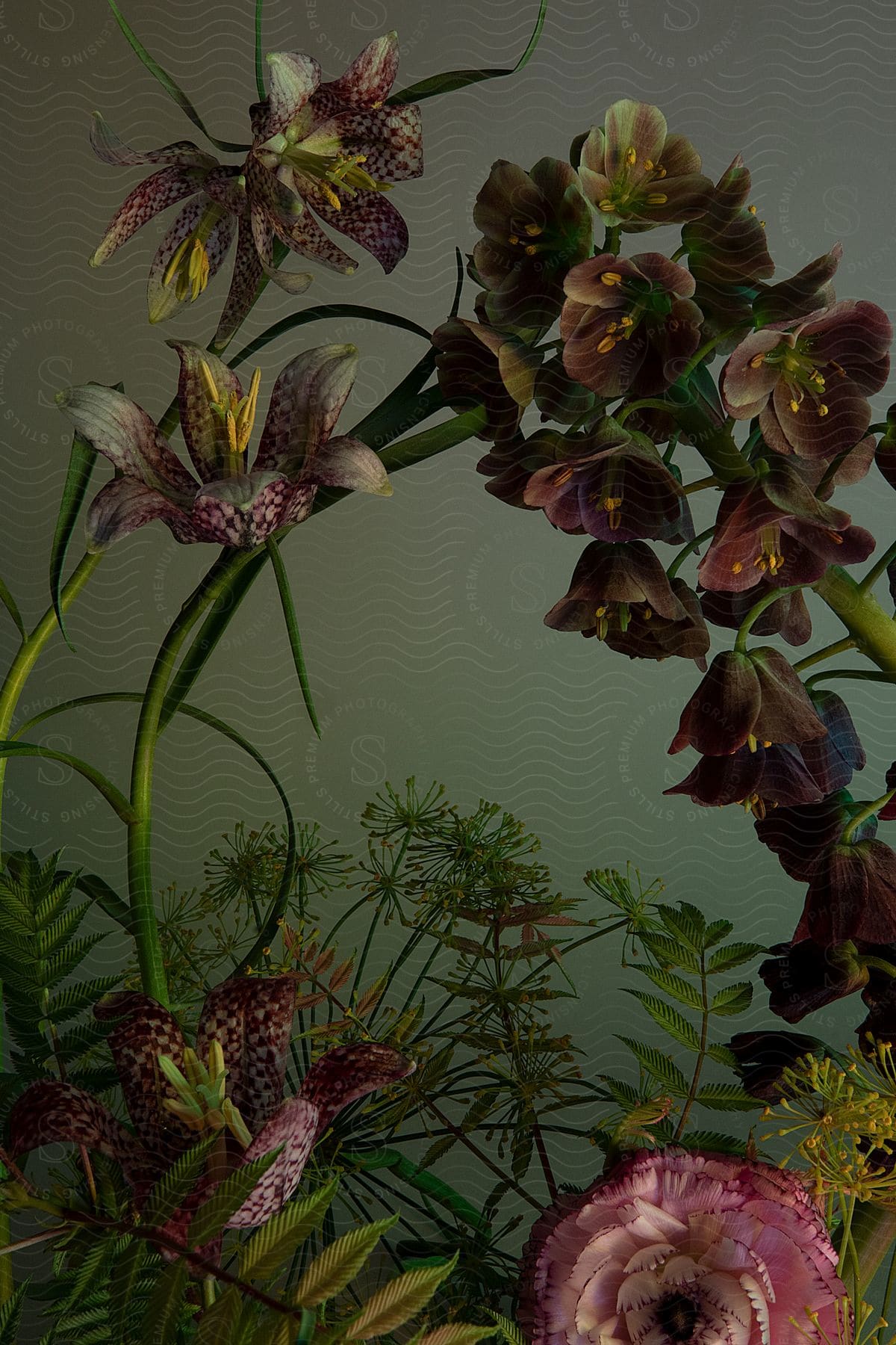 flowers arrangement