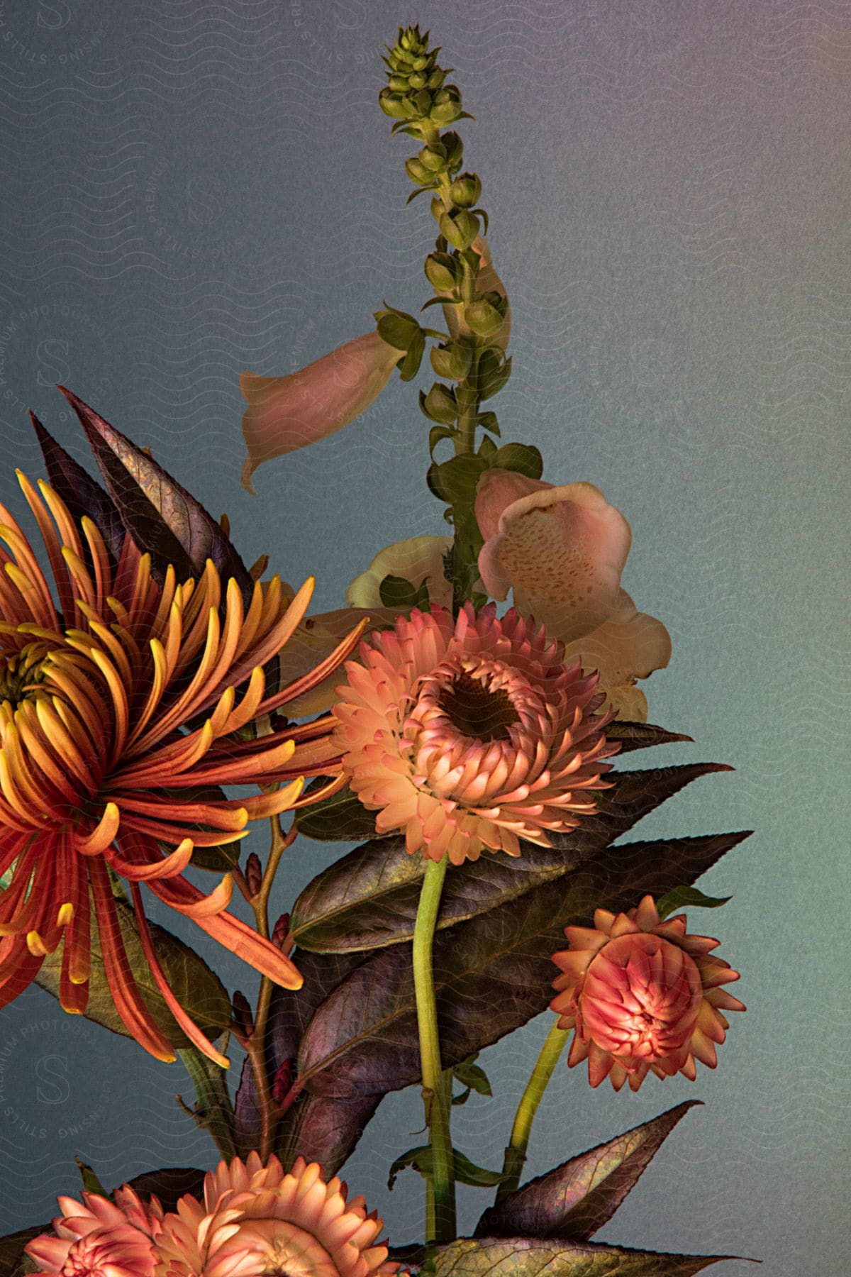 Still life of flowers of different species in art on light background