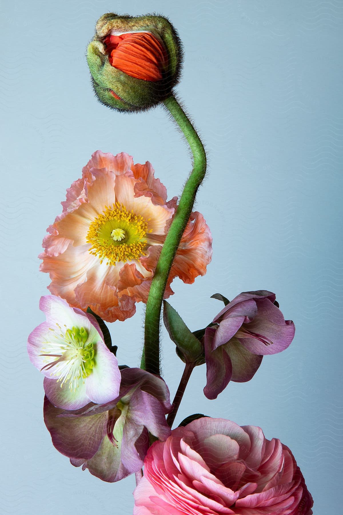 A view of a flower in a room.