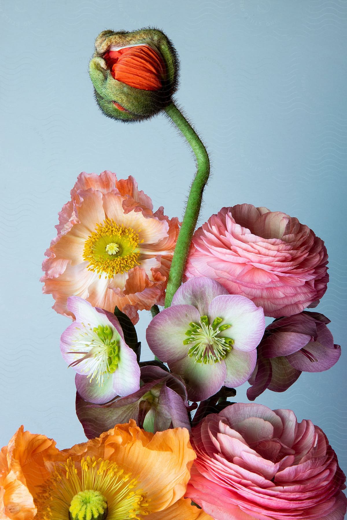 A view of some flowers in a vase indoors.