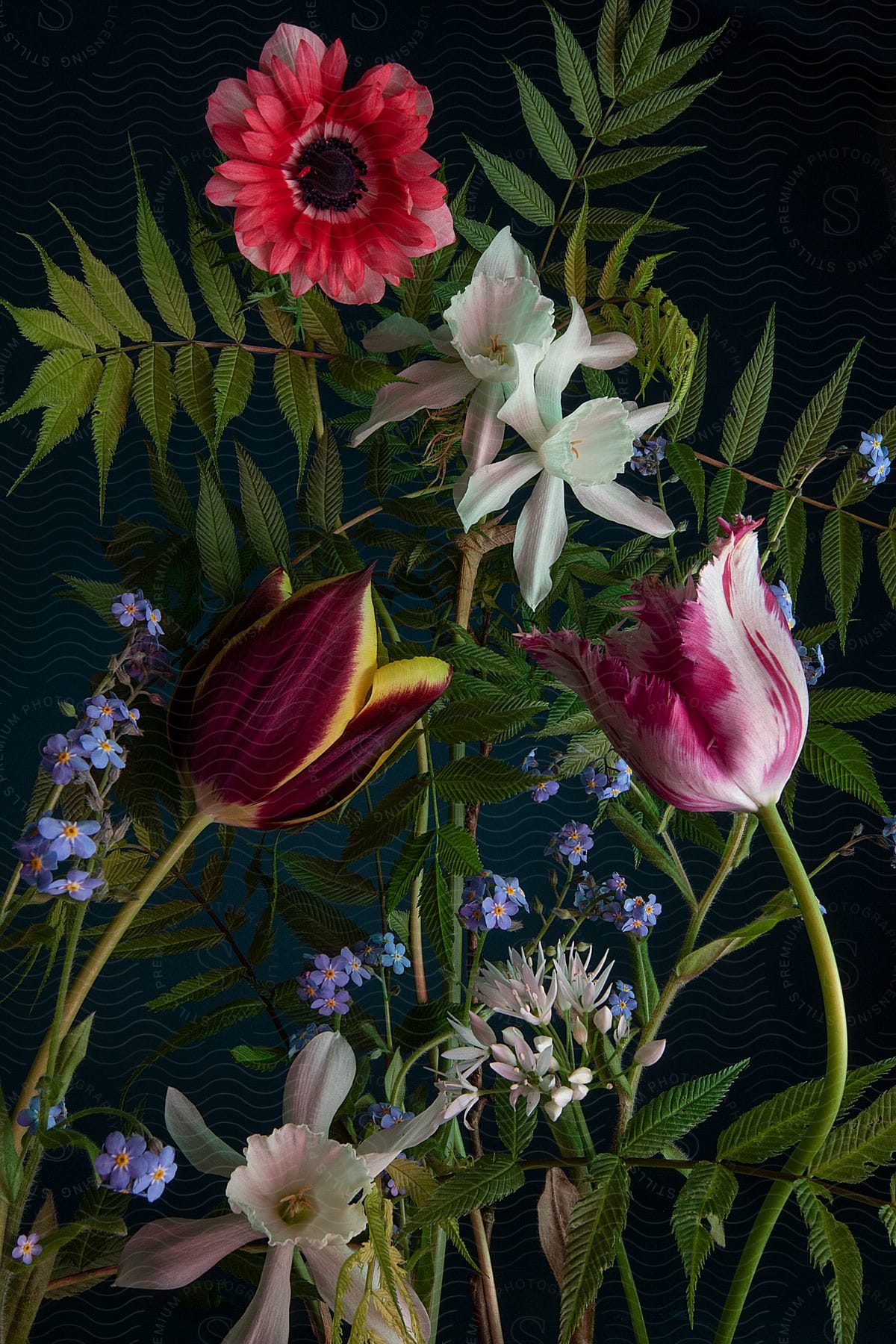 A view of a flower arrangement in a house.