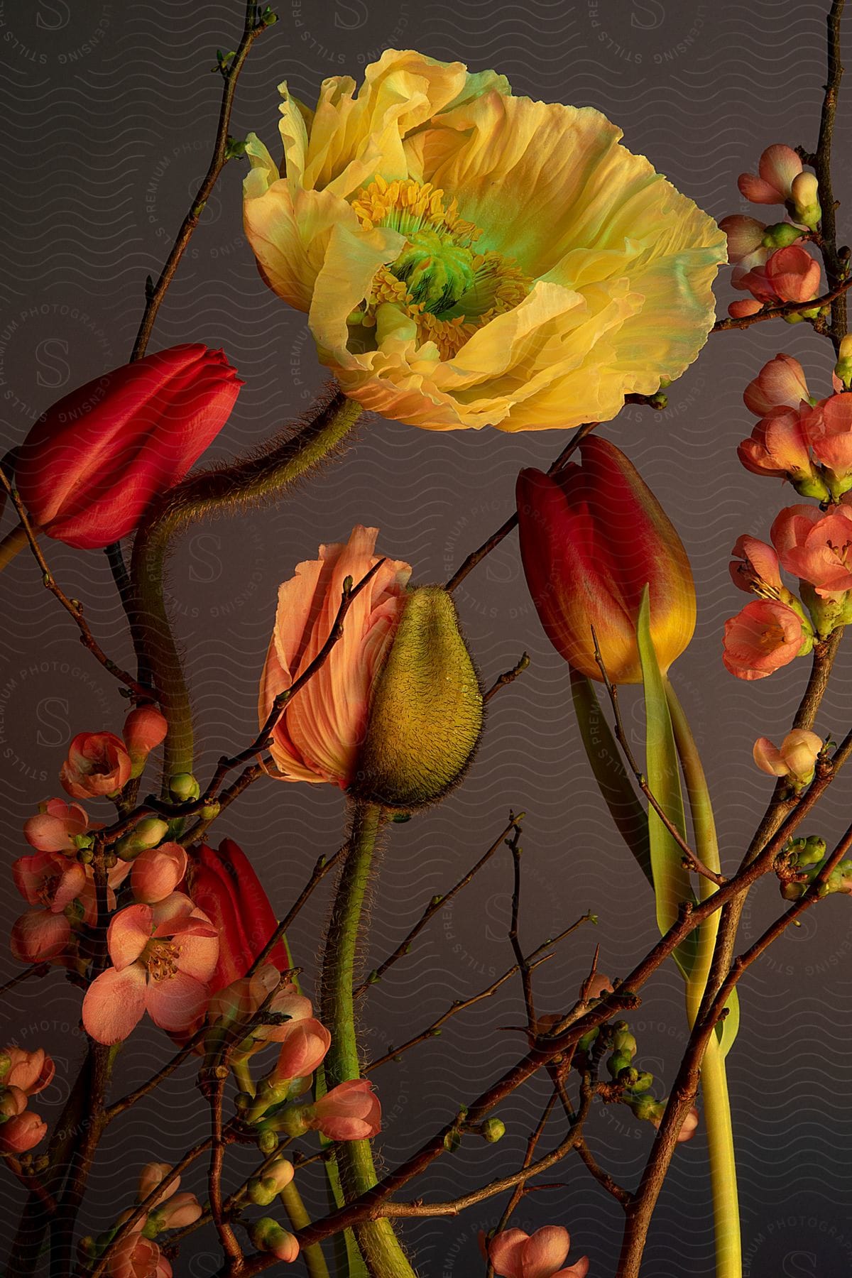 Still life of flowers and buds of different species on a grayish background