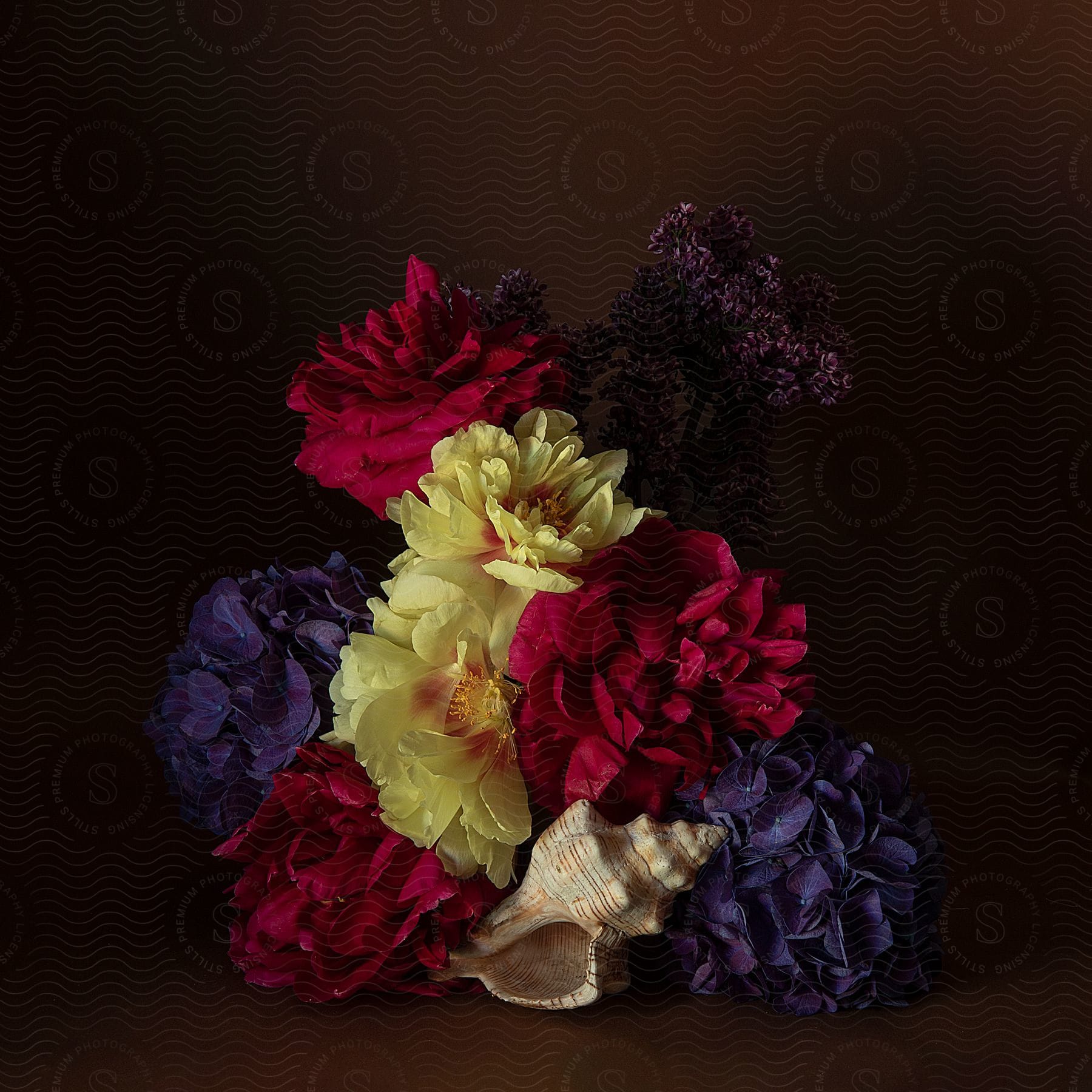 Composition of colorful flowers and a shell on a pure background