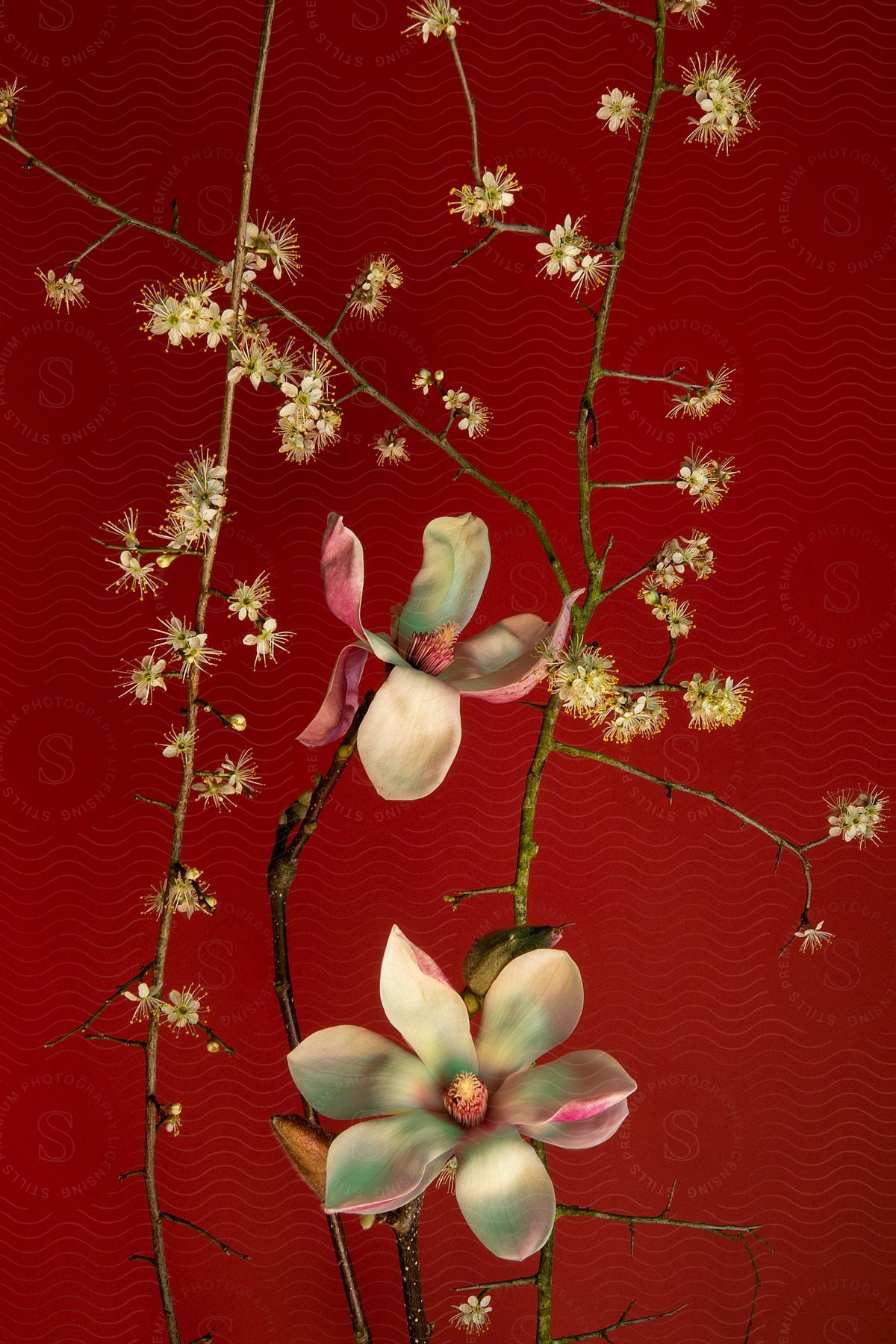 Some flowers on branches sitting in a red room.