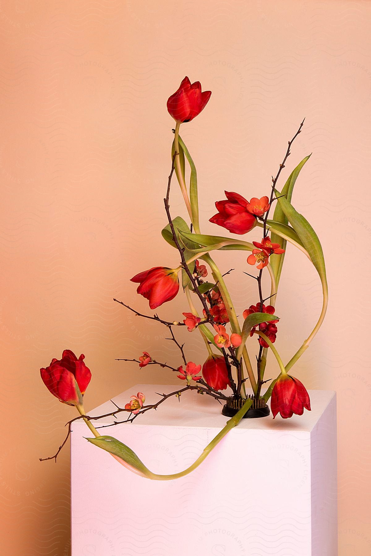 A floral arrangement with vibrant red flowers and green stems against a soft peach background.