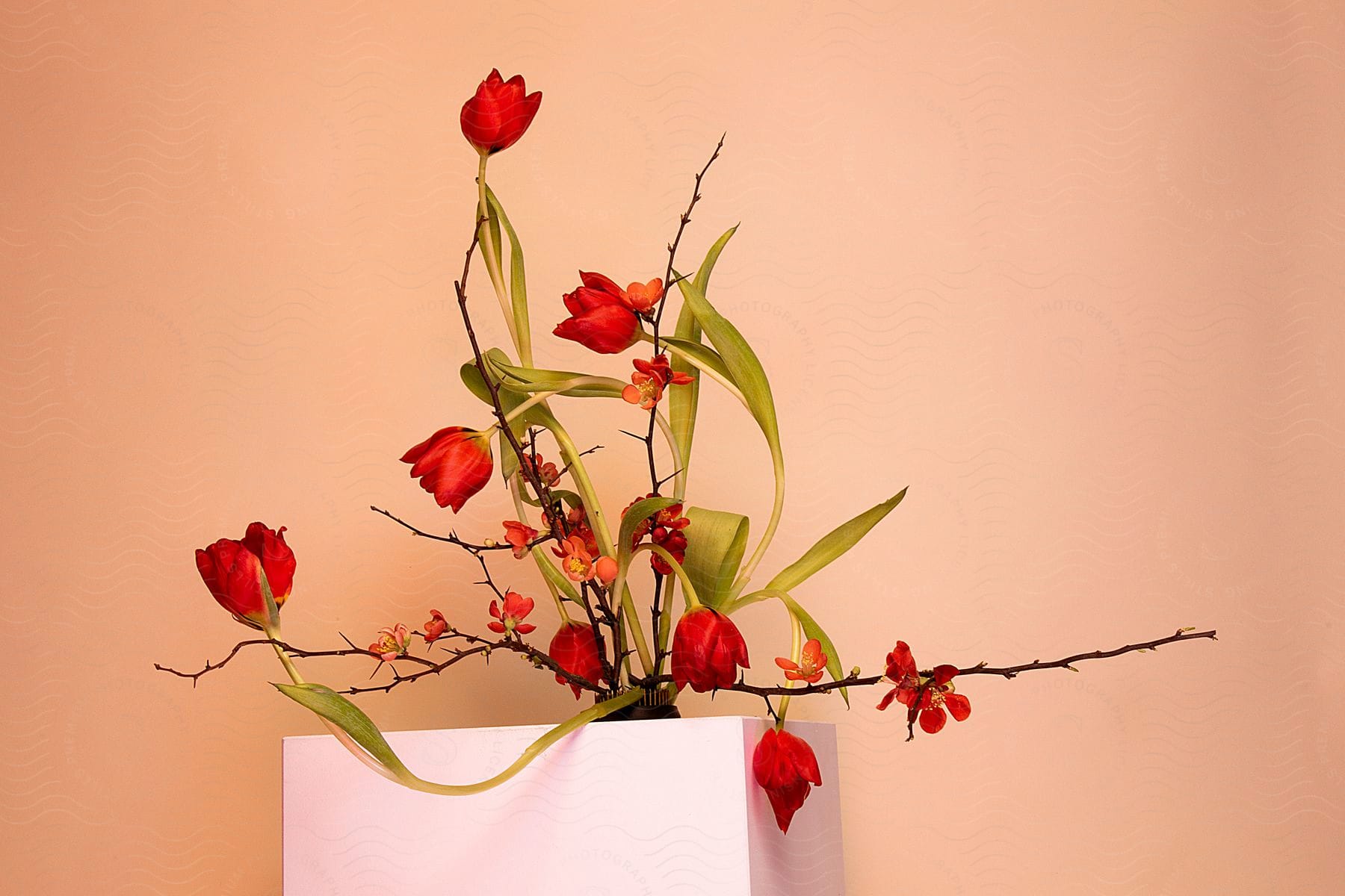 A bouquet of vibrant red flowers and green leaves emerging from a white container against a soft orange background.